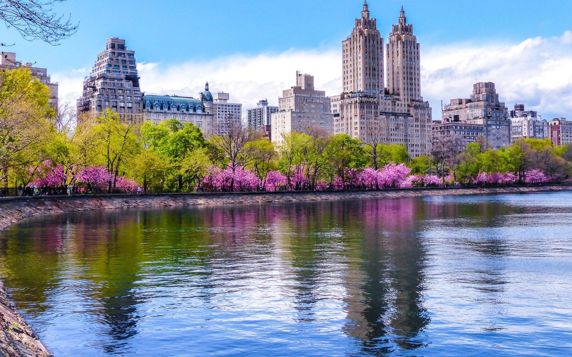 Download wallpaper Central Park, spring, spring flowers, USA, New
