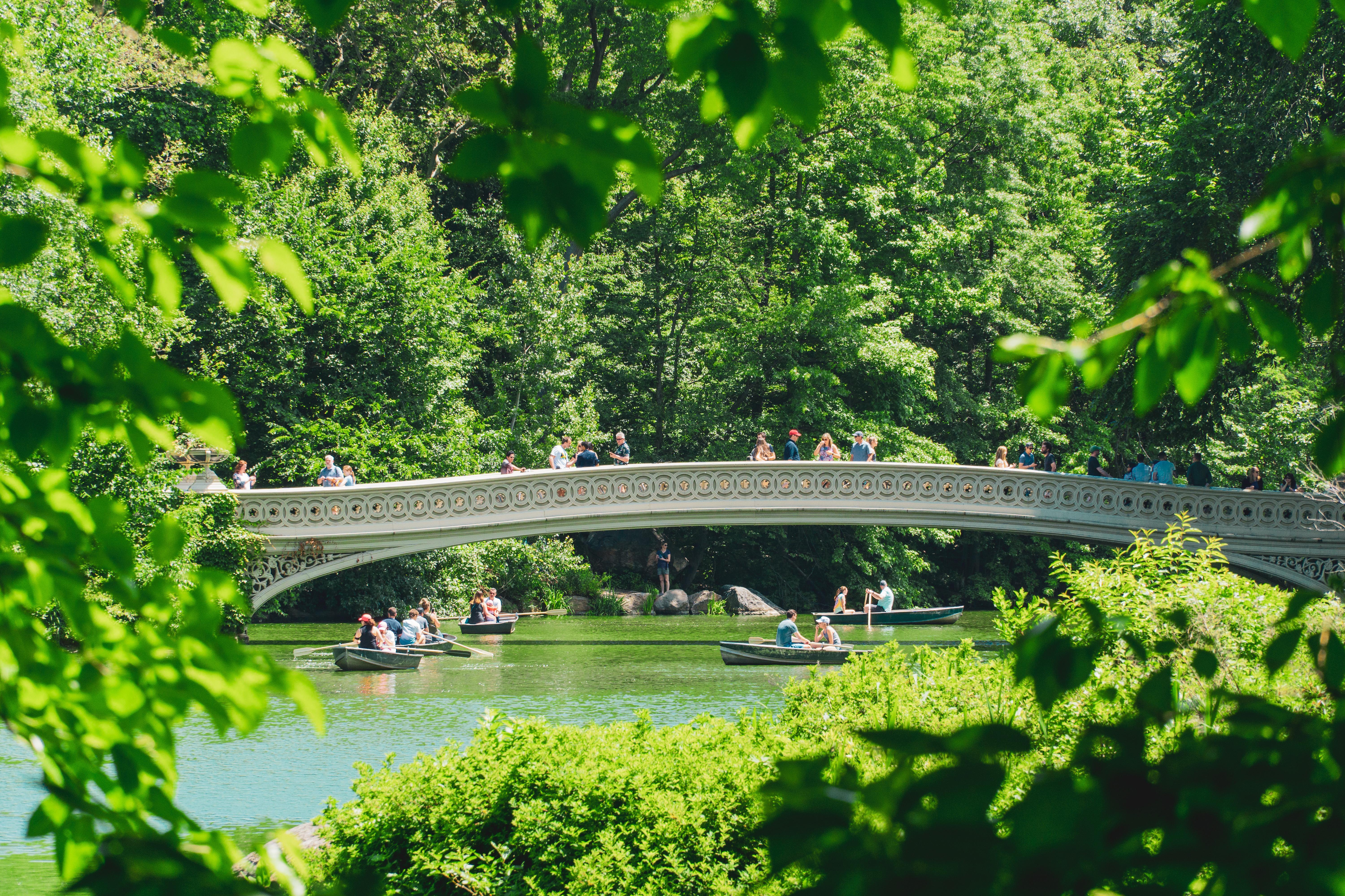 Central Park Spring Wallpapers Wallpaper Cave