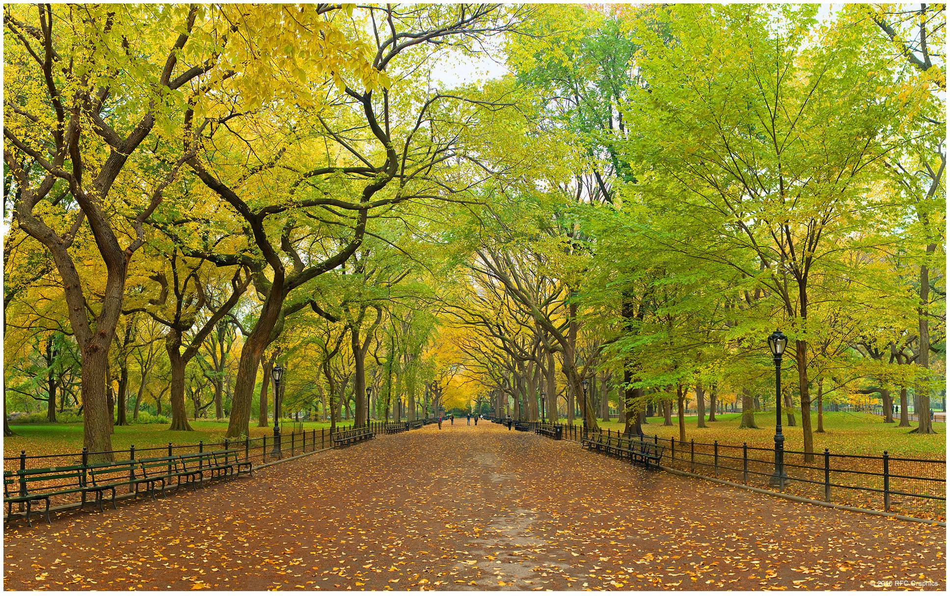 Free download Central Park Wallpaper Central Park Winter Snow