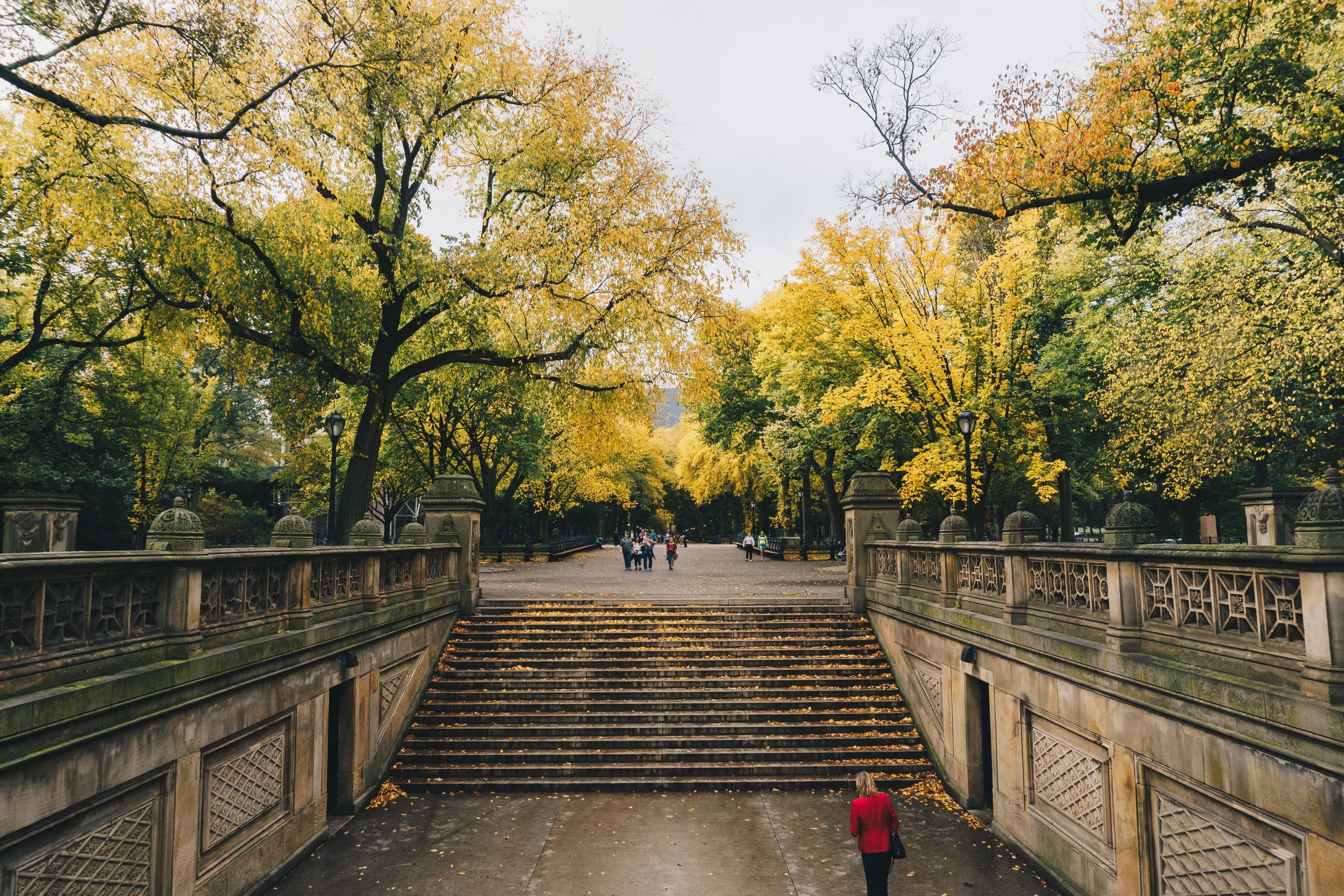 Central Park Spring Wallpapers Wallpaper Cave