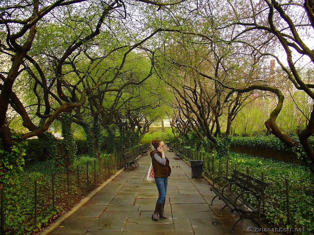 Free download Spring In Central Park Wallpaper Land Picture