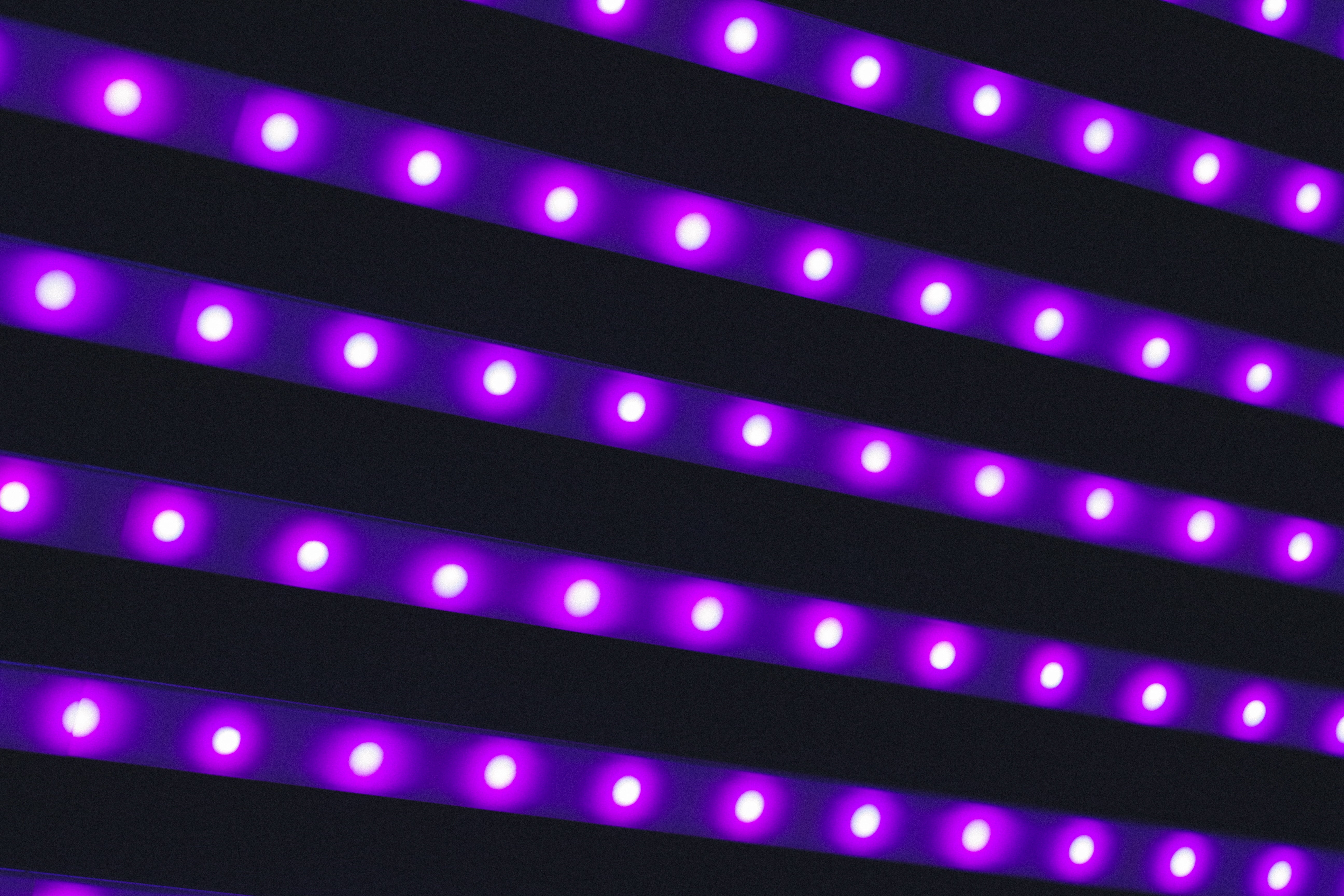 Purple LED strips, Light, Lighting, Lamps HD wallpaper. Wallpaper