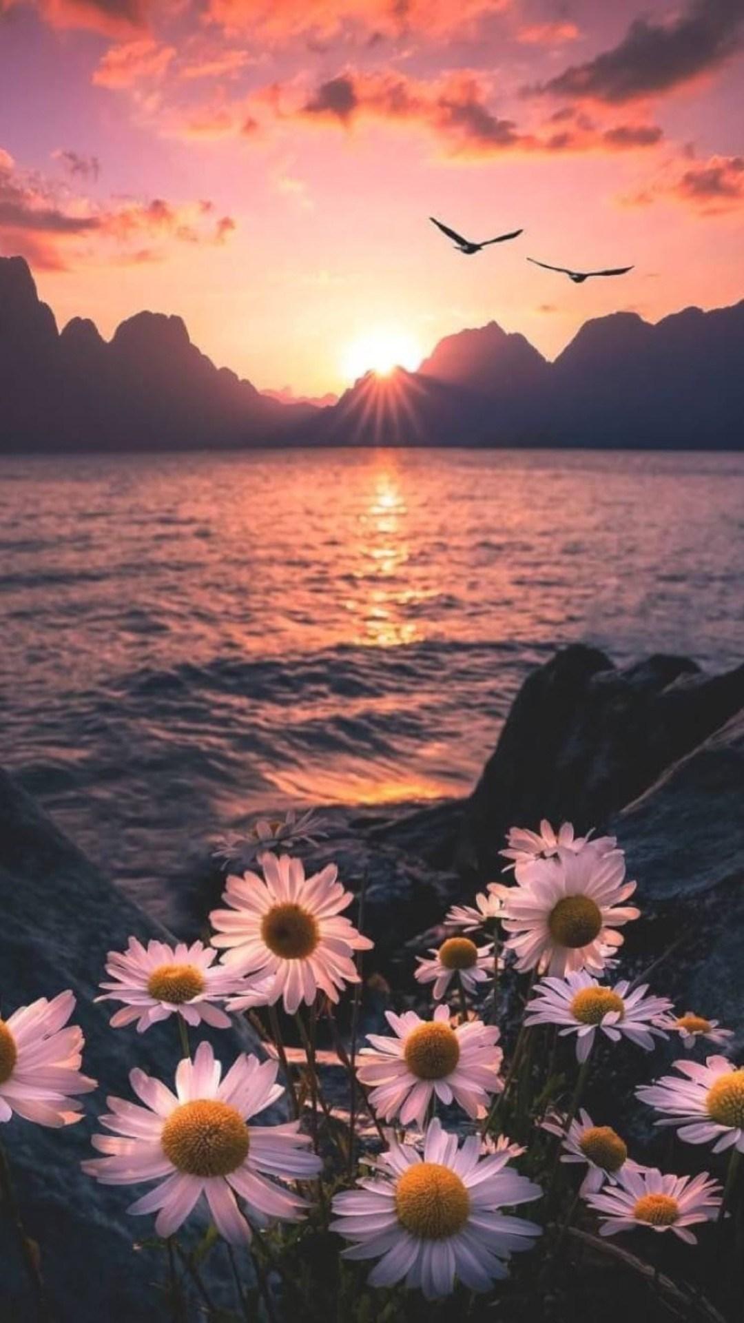 Aesthetic Sunset Landscape Wallpapers Wallpaper Cave