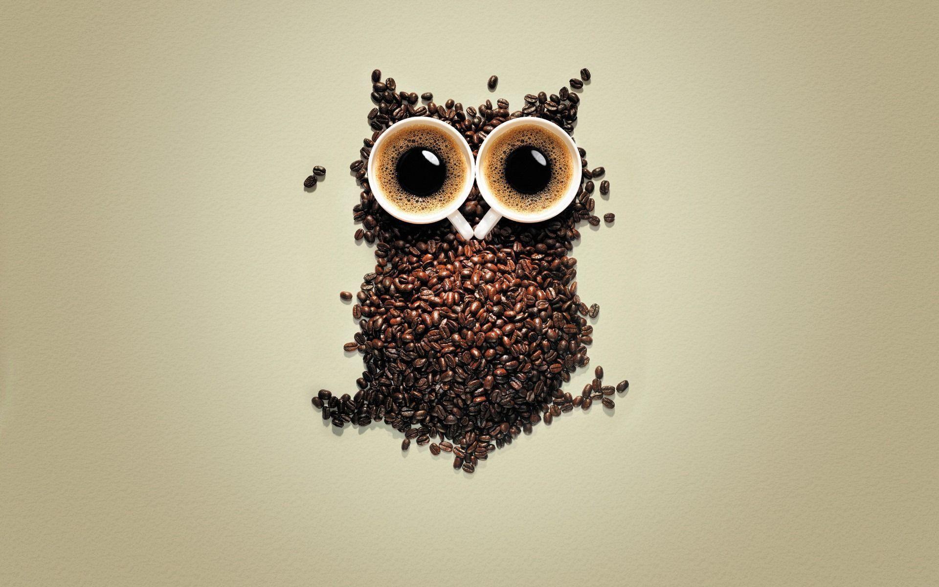 Owl Wallpaper for Computer