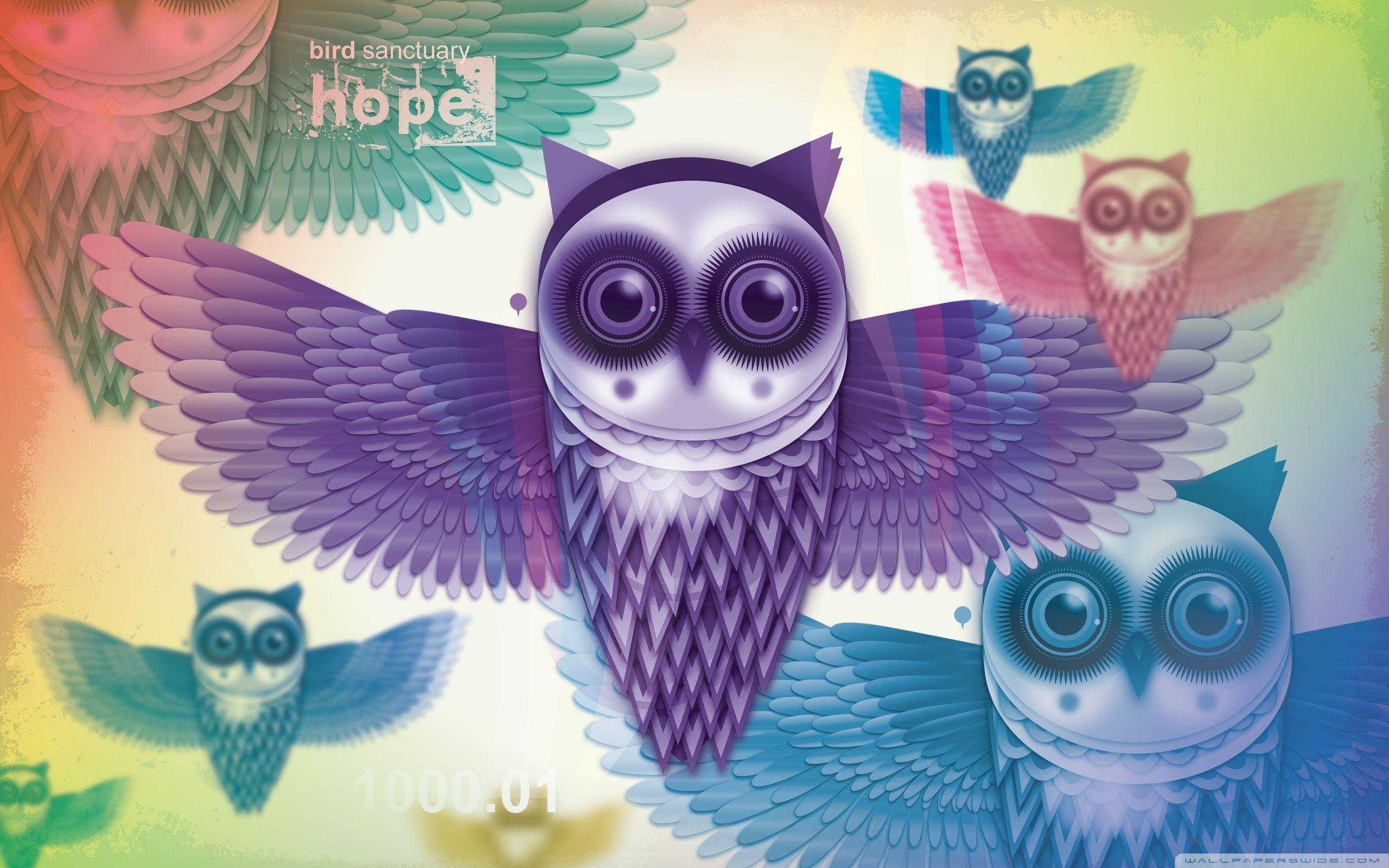 Colorful Owl Wallpaper HD Wallpaper For Computers
