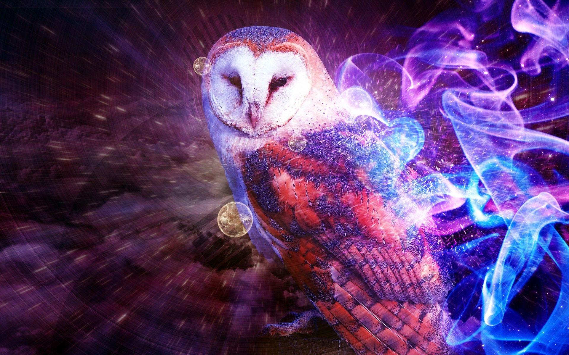 Photos Image Download Animal Owl Background Desktop Wallpaper