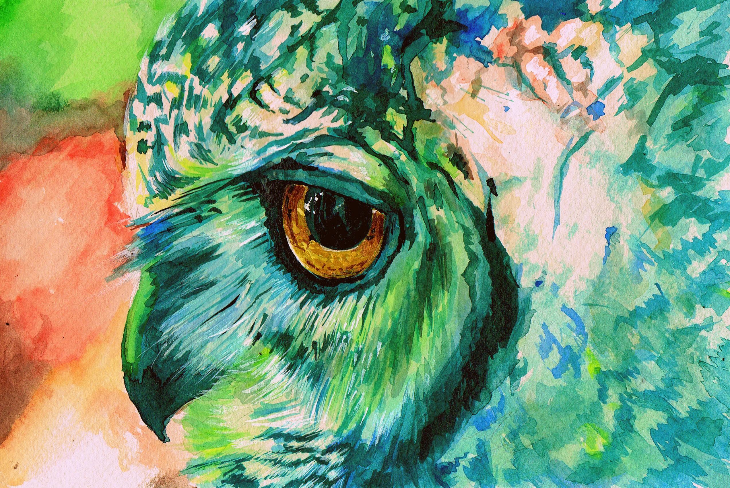 High Definition Colorful Owl Wallpaper Quality Wallpaper