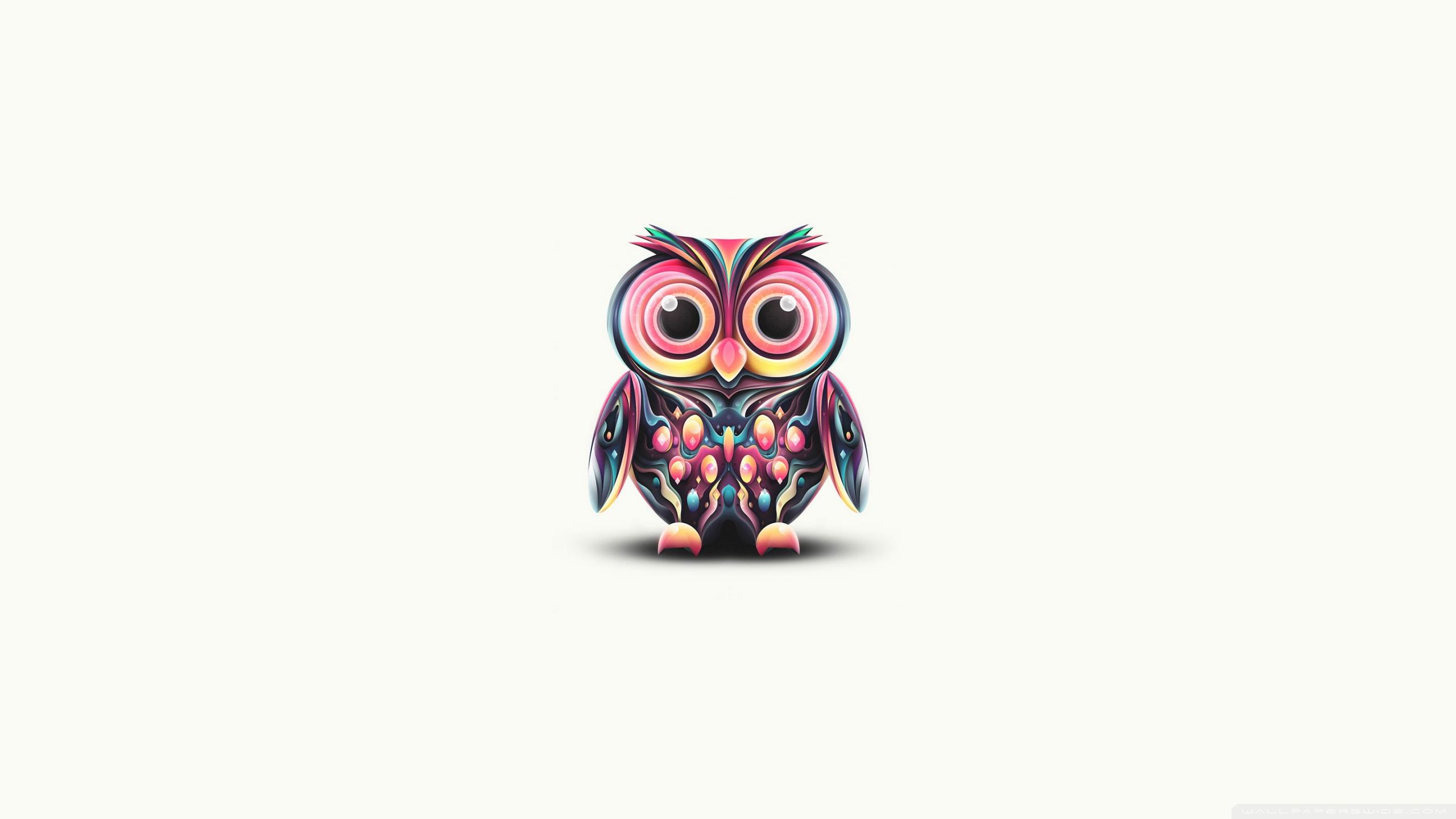 Cute Owl Illustration Ultra HD Desktop Background Wallpaper for 4K