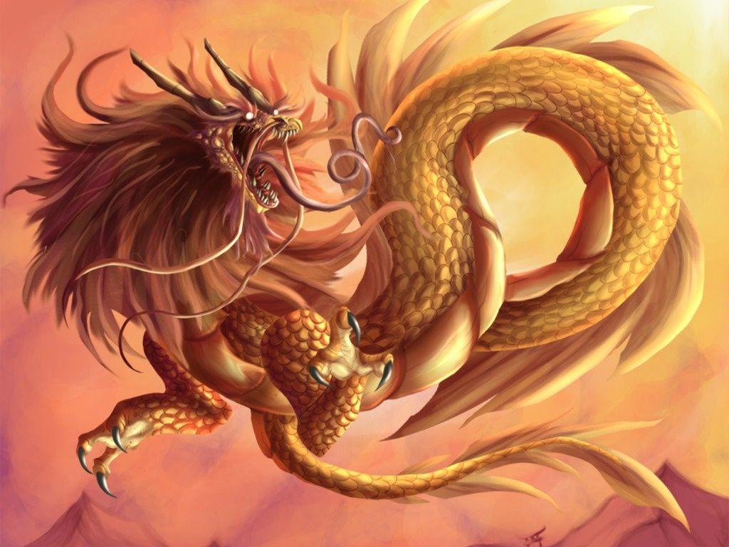 Golden Chinese Dragon Wallpaper. Dragon picture, Dragon illustration, Eastern dragon