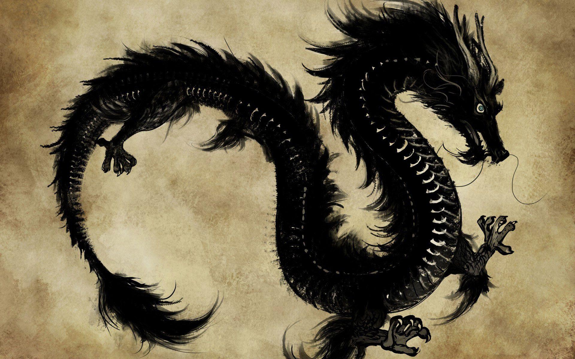 Oriental Dragon Wallpaper. Chinese Dragon HD wallpaper. Chinese dragon art, Dragon art, Eastern dragon