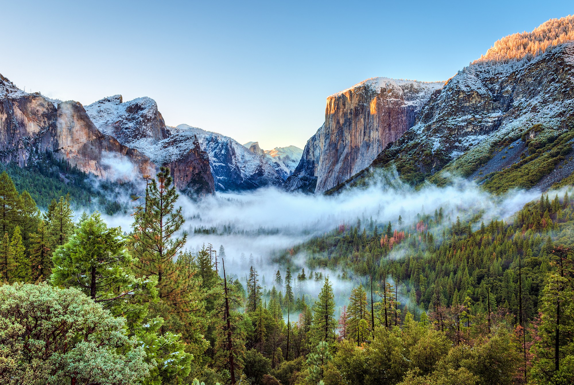 nature, Landscape, Mountain, Yosemite National Park, USA, Trees