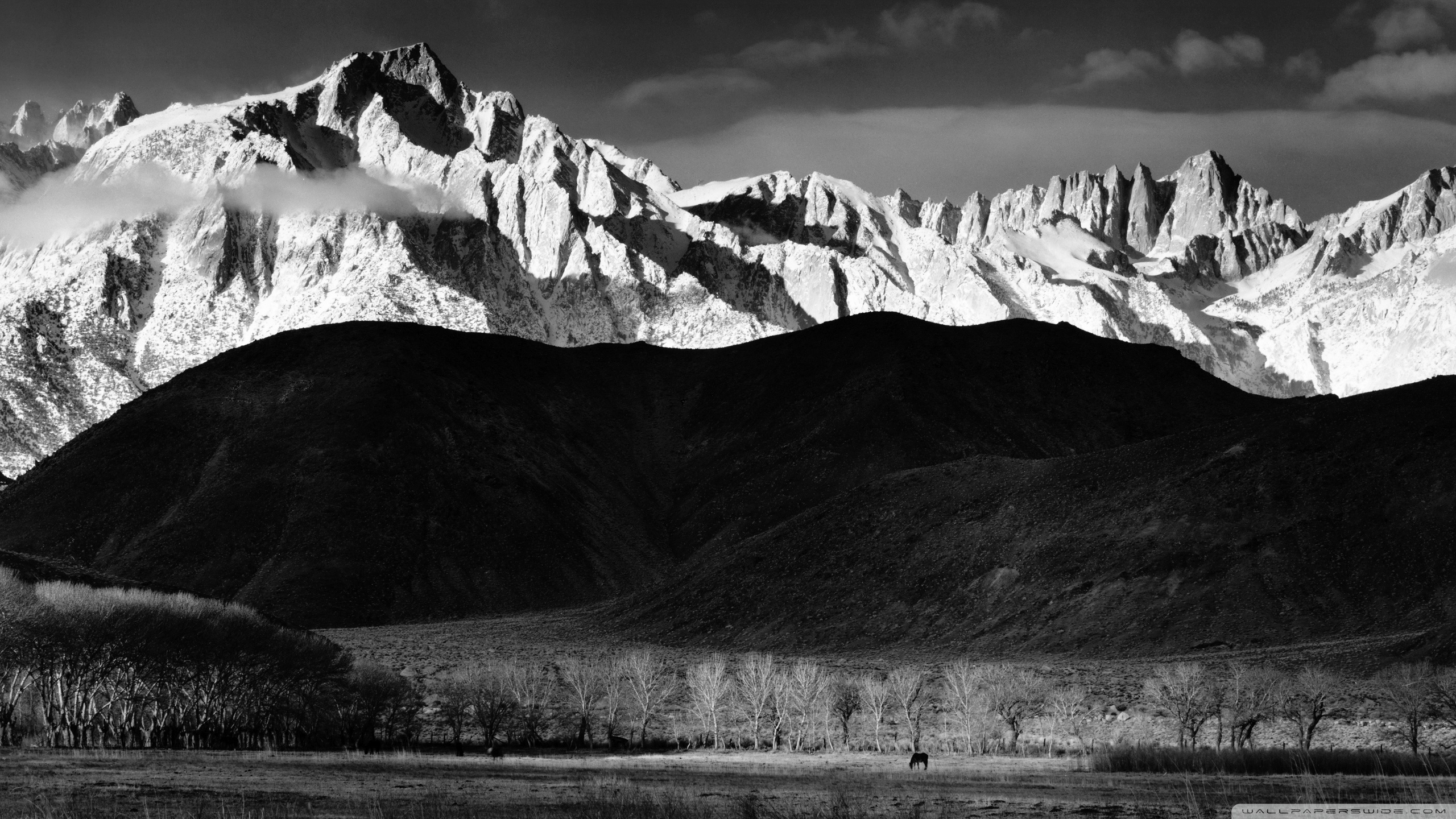 Black And White Winter Landscape Ultra HD Desktop Background Wallpaper for: Multi Display, Dual Monitor, Tablet