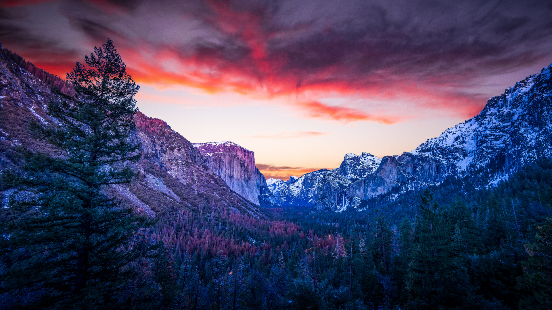 Download Mountains, forest, twilight, Yosemite valley, national