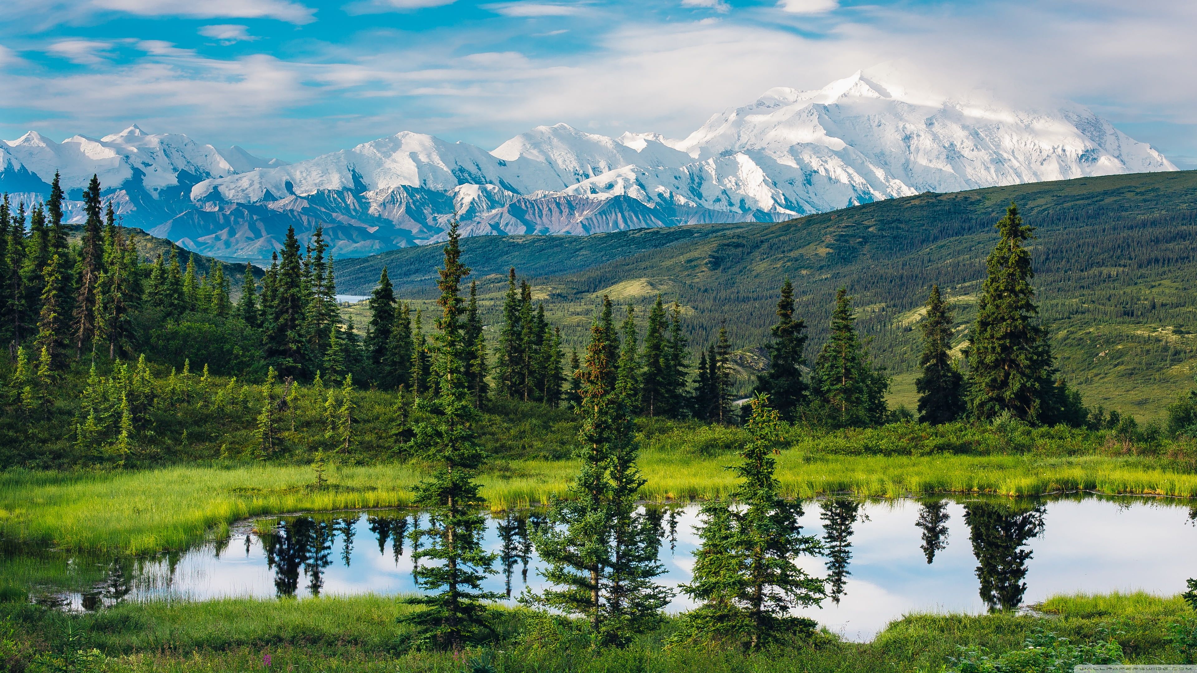green pine trees #Alaska #nature #landscape #mountains #water