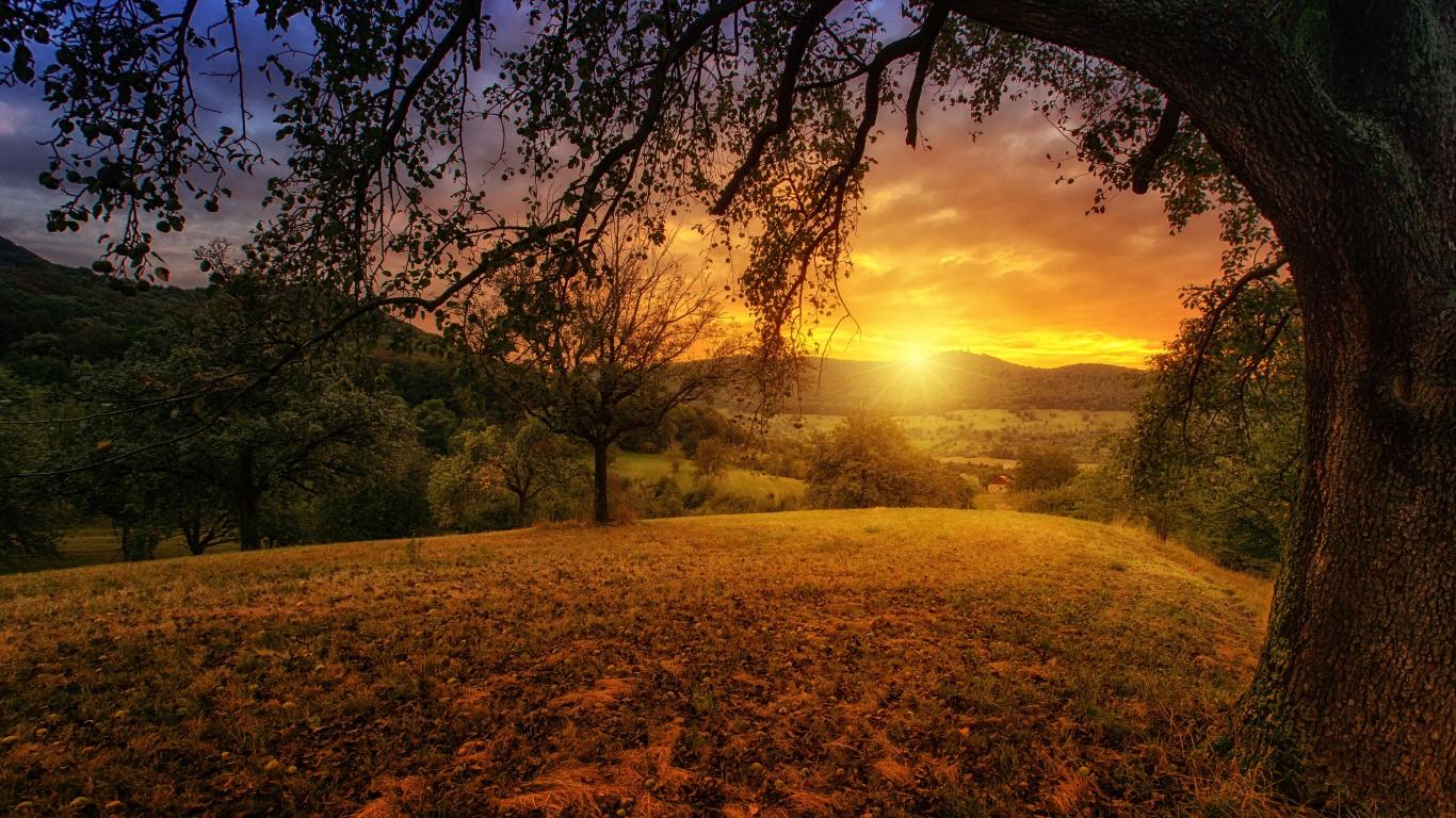 Tree Sun Aesthetic Dawn Landscape Panorama 1366x768