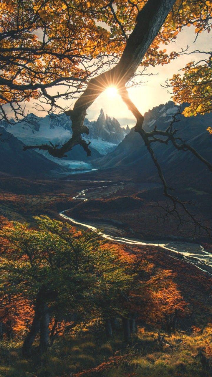 iPhone Wallpaper. Nature, Sky, Natural landscape, Tree, Sunlight