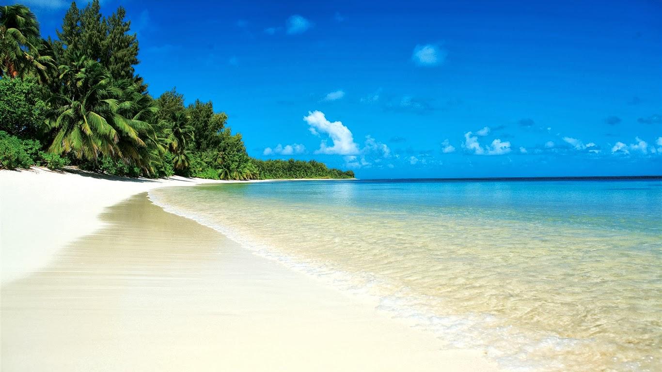 Free download Techno Wlp Tropical Sea And Beach Wallpaper