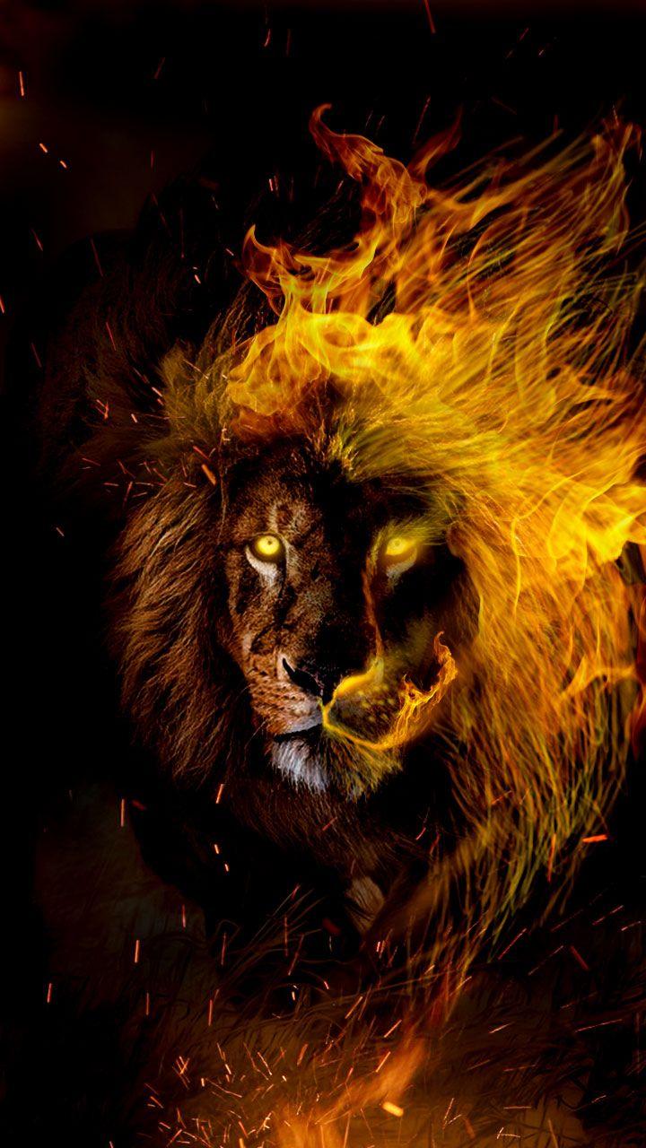 Leo in flames. Lion wallpaper for the Leo zodiac lovers. Get your