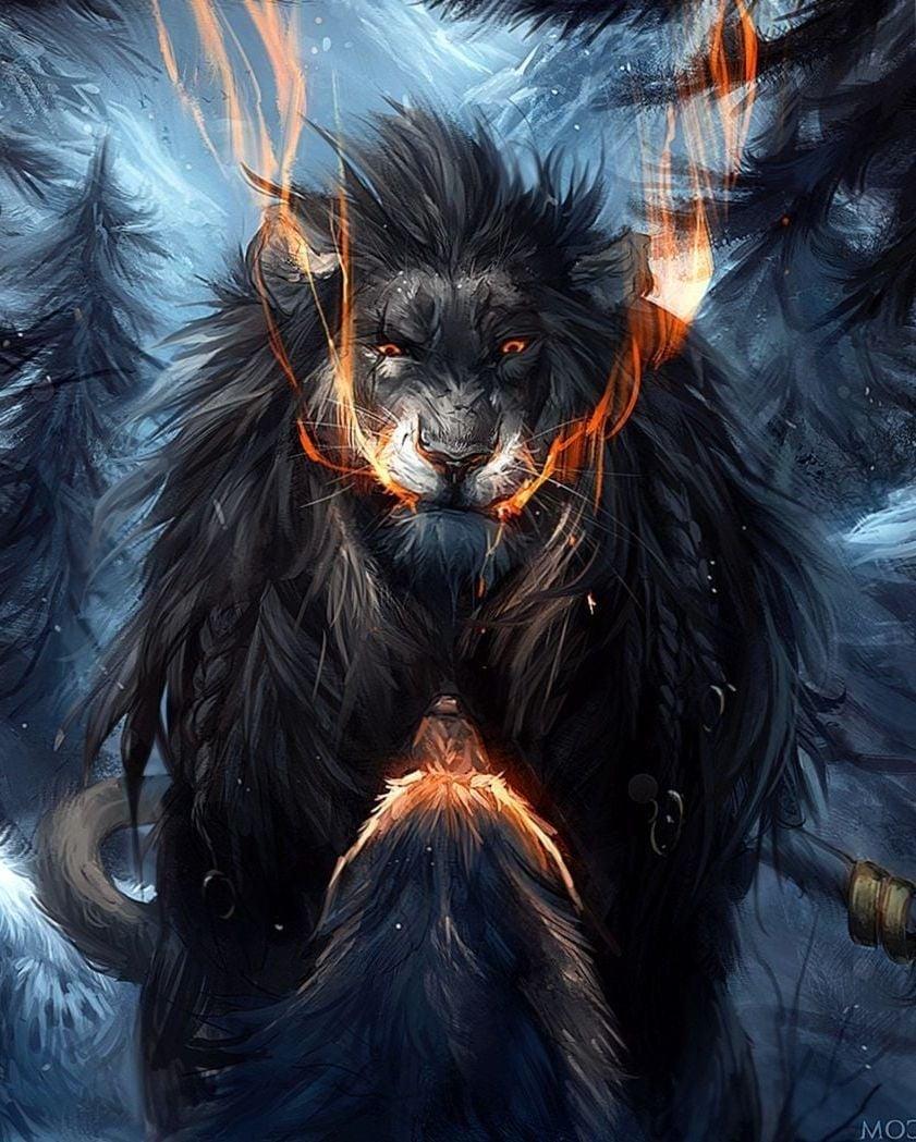 Wolf Lion Wallpaper