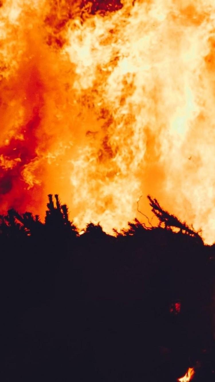 Fireside Wallpaper 42291