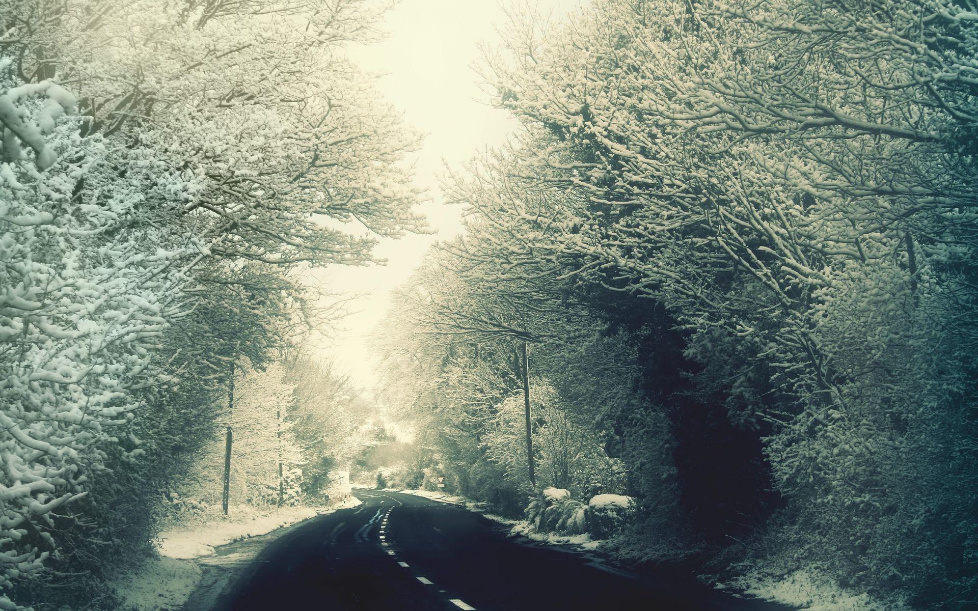 Road In Winter, The Rime On Trees, Winter Highway - قیمت تلویزیون