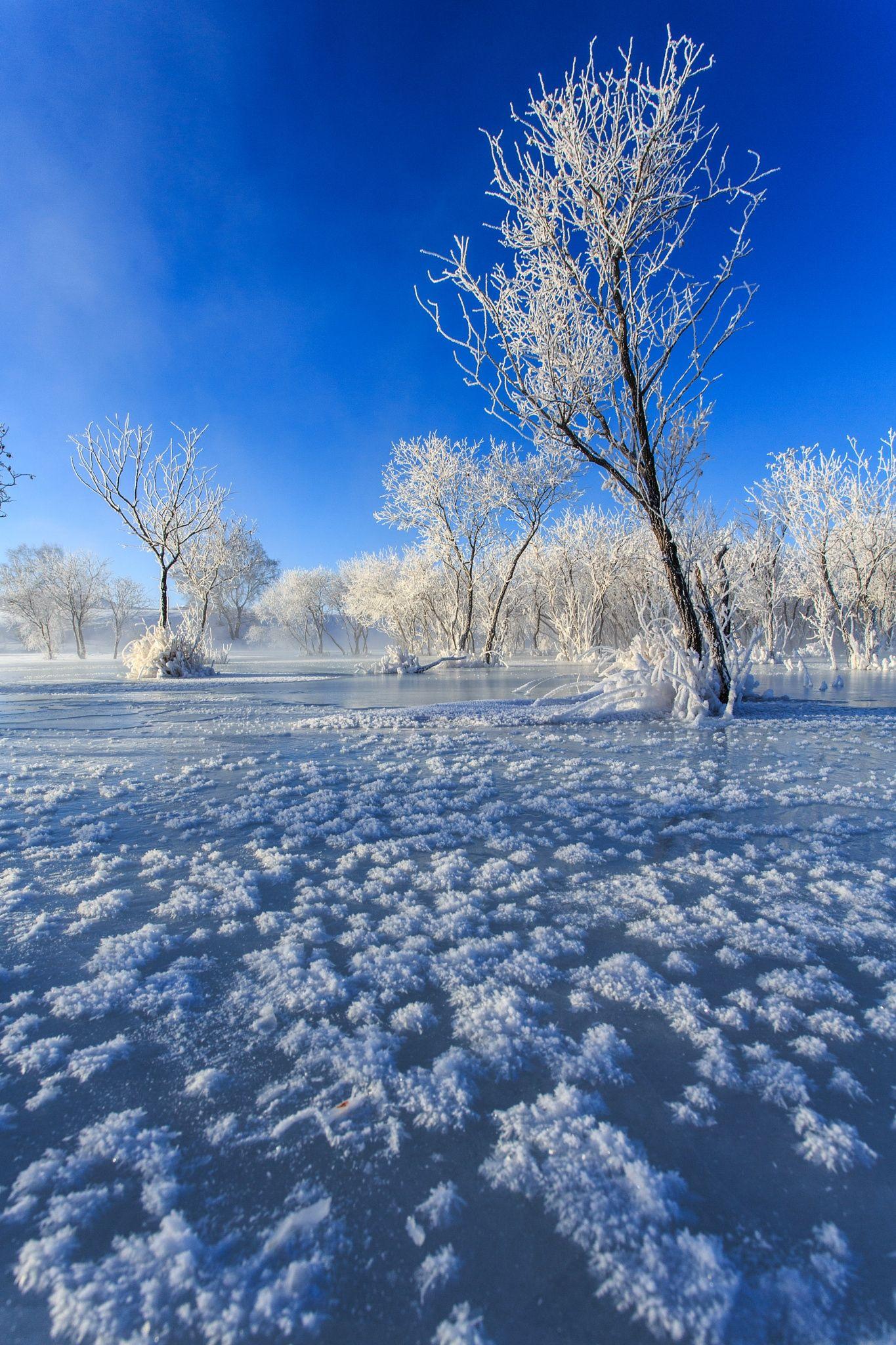Wallpaper: white and blue beautiful soft rime with fog