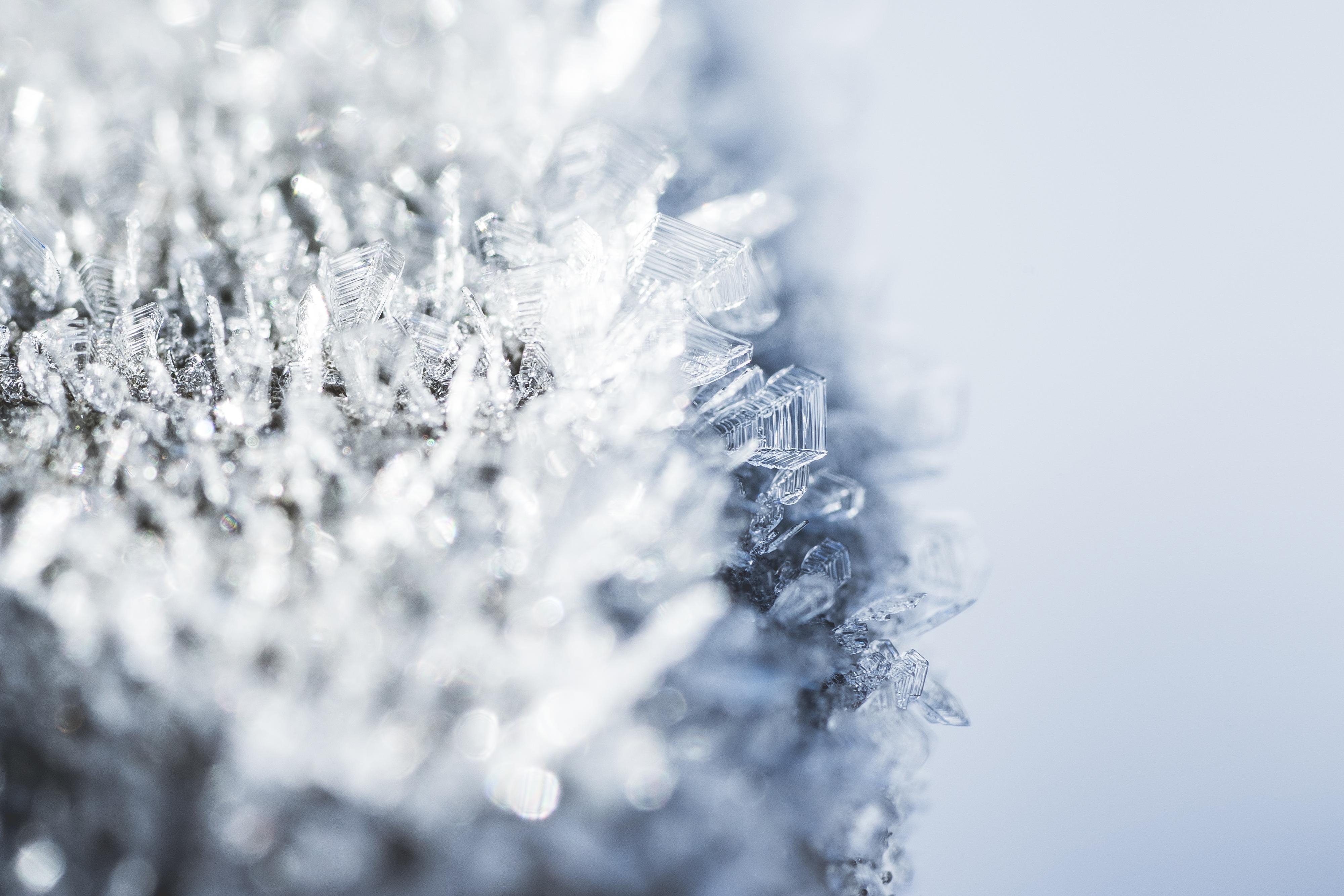 Morning Hoar Frost Frozen Snowflakes Close Up Free