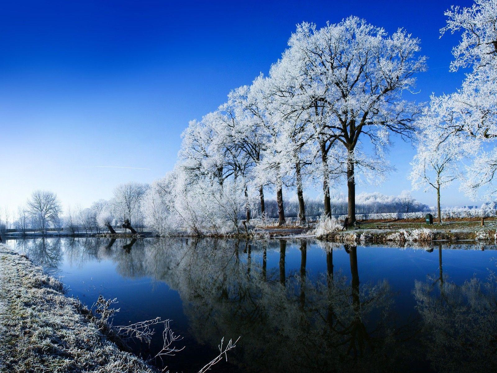winter, rime, water, Trees wallpaper desktop background
