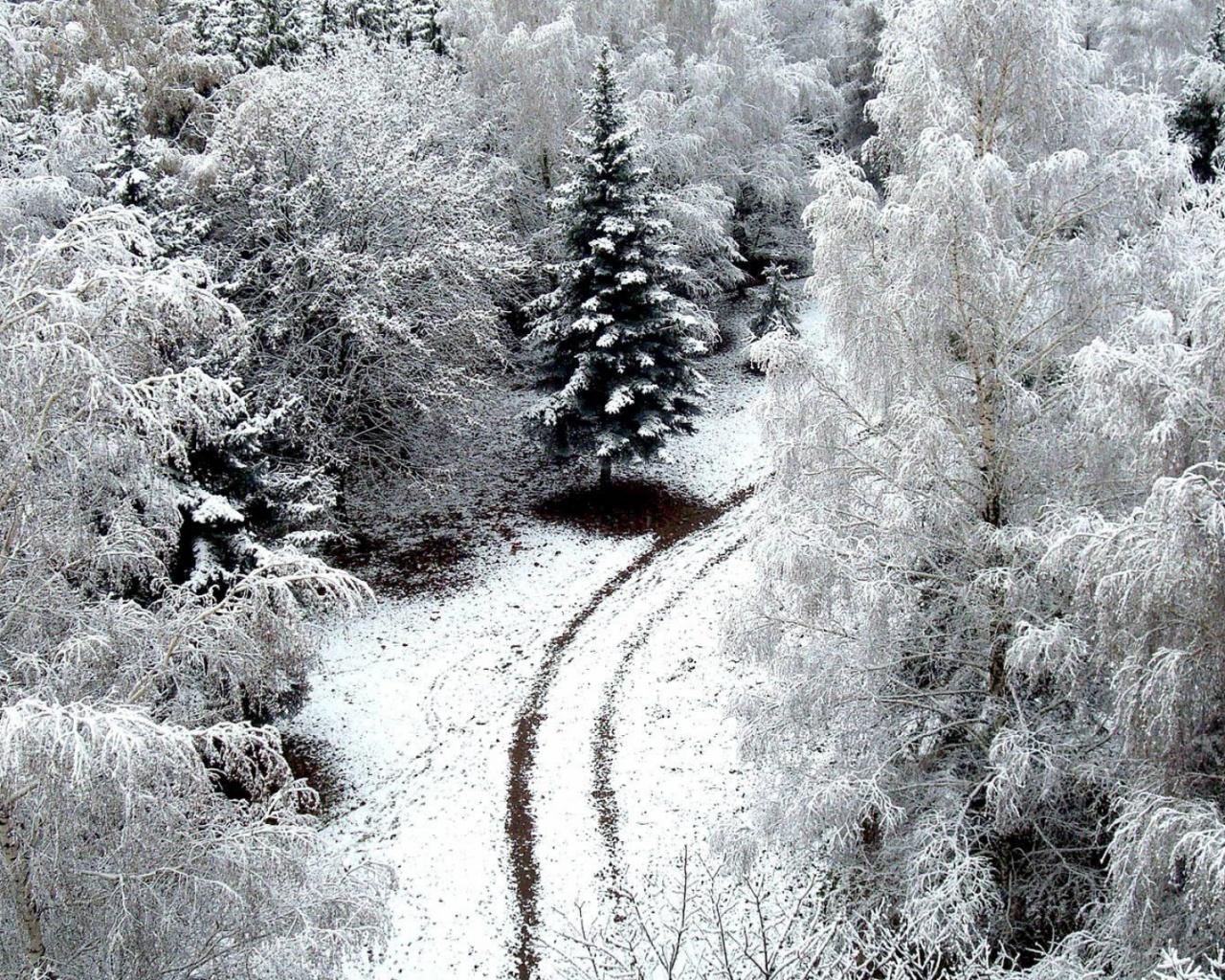 Snowy Forest Path Aerial View desktop PC and Mac wallpaper
