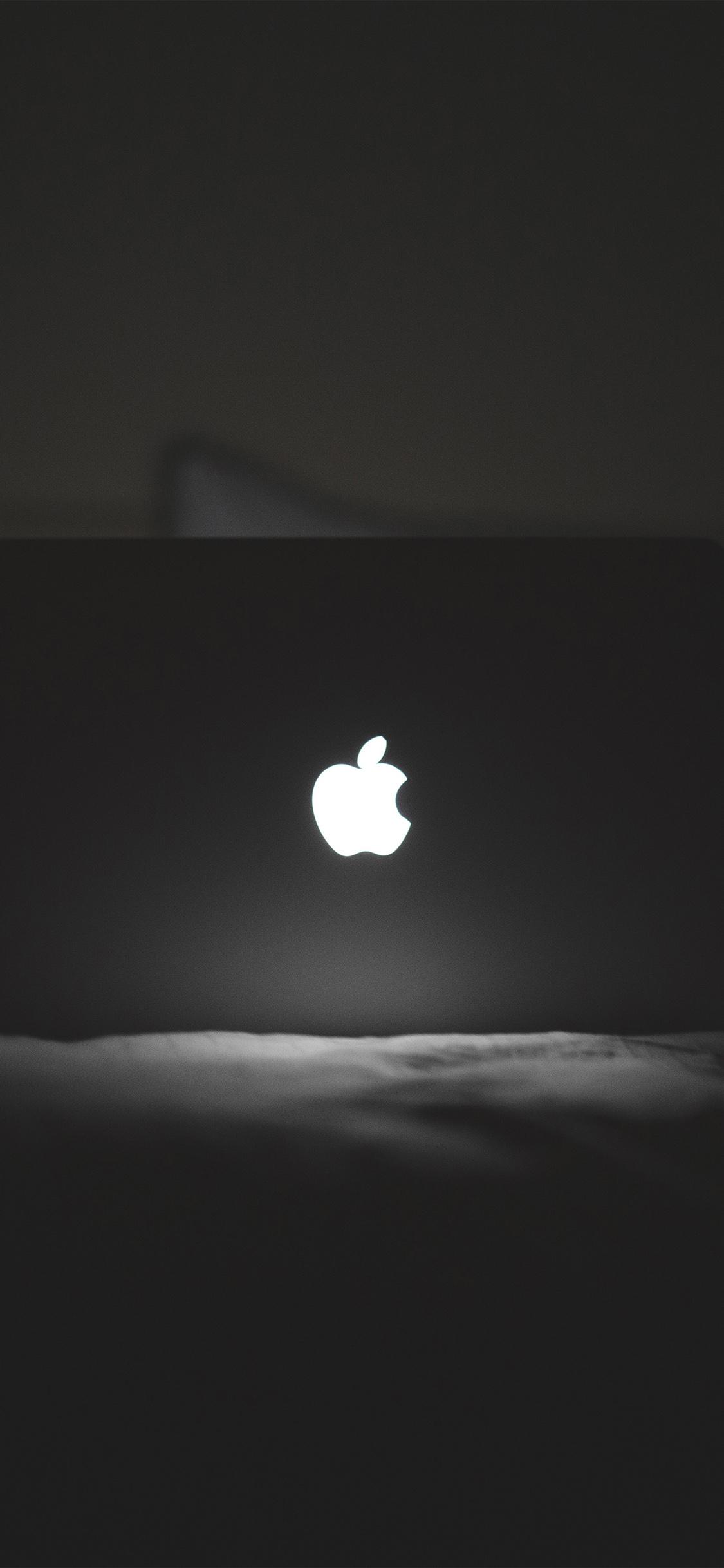 iPhone X wallpaper. apple logo dark bw