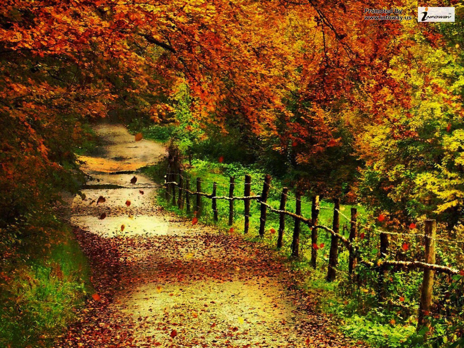 Free download Beautiful Autumn Scenery Wallpaper 01 1600x1200