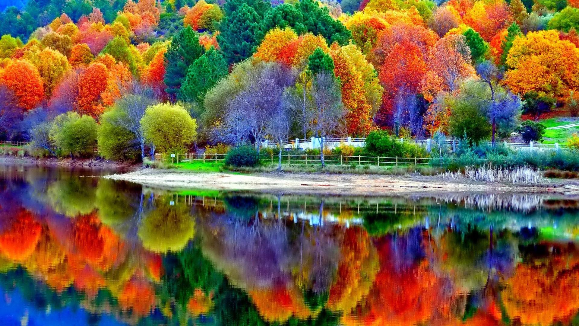 Download 1920x1080 Beautiful Autumn Lake Scenery Wallpaper
