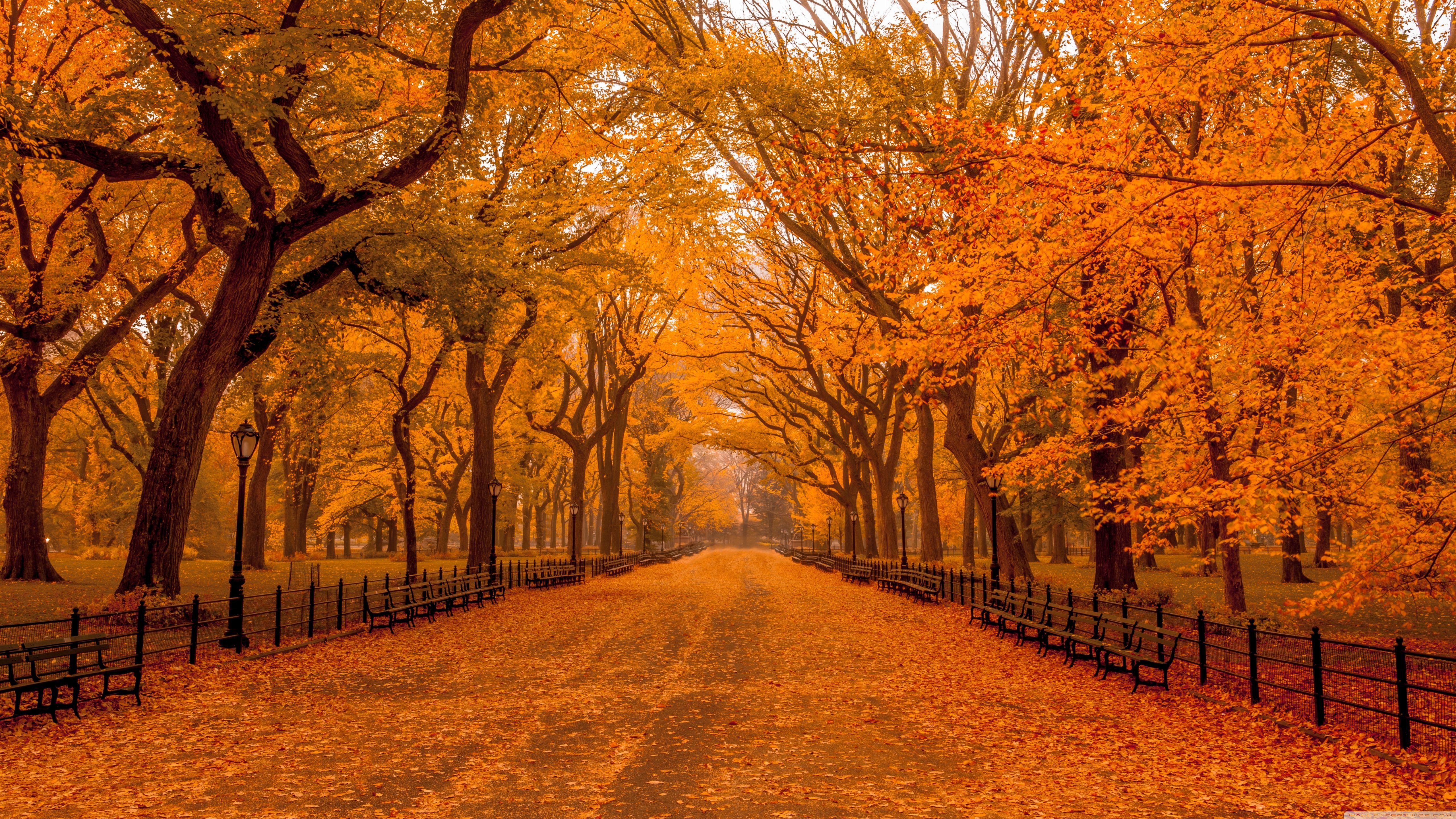 Full Screen Autumn 4k Wallpapers Wallpaper Cave Full Screen Autumn 4k Wallpapers Wallpaper Cave