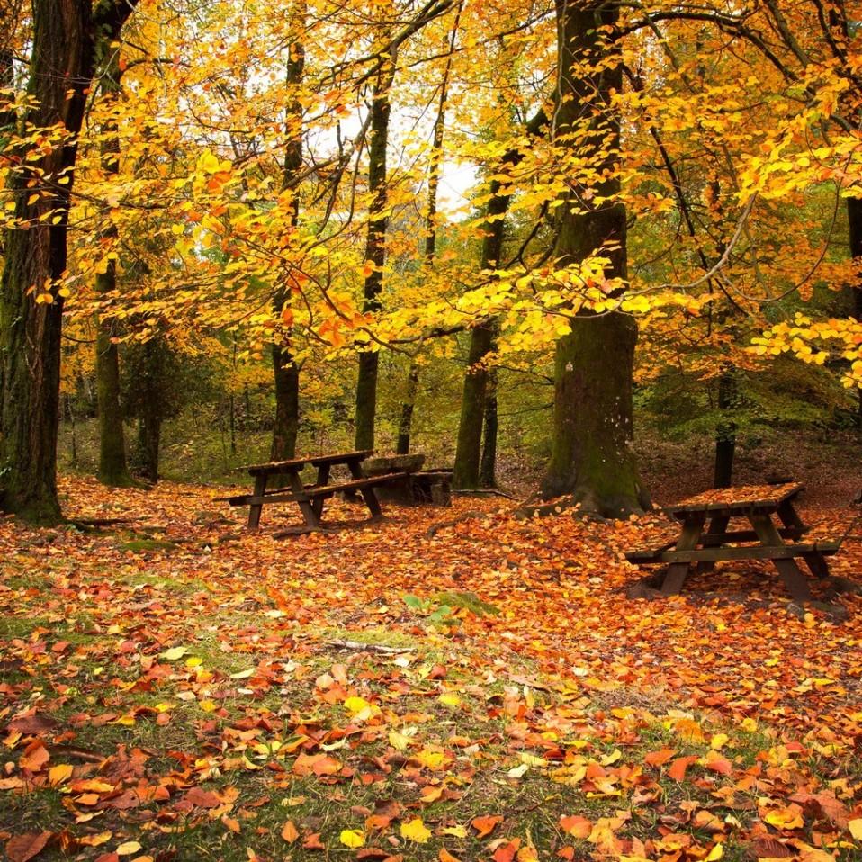 Beautiful autumn scenery wallpaper 1024×1024 (15). Three Rivers