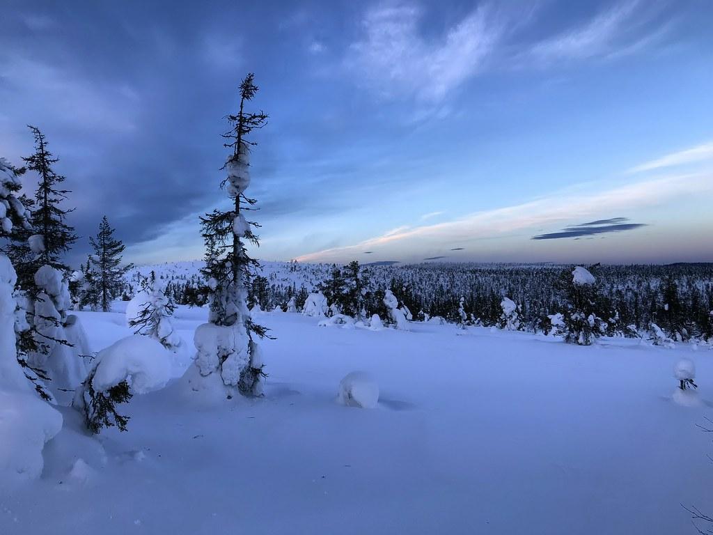 Riisitunturi National Park Winter Wallpapers - Wallpaper Cave