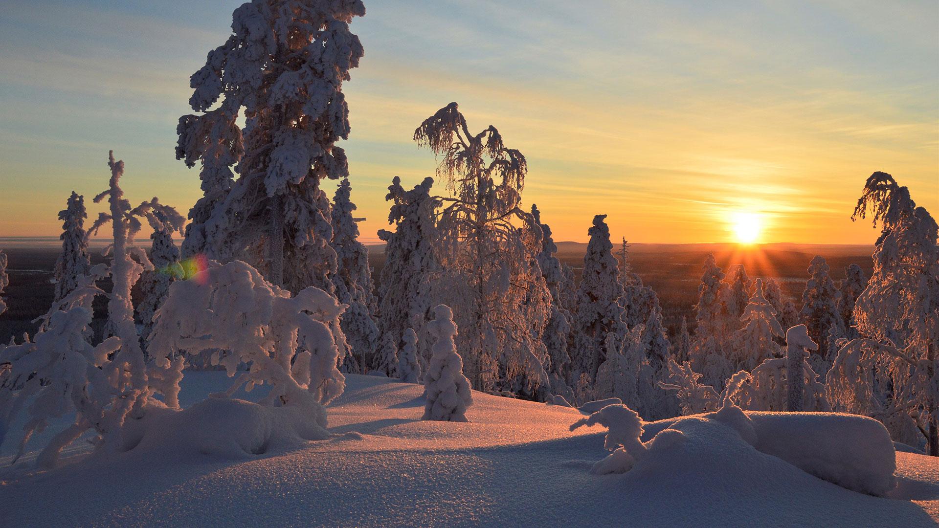 Riisitunturi National Park Winter Wallpapers - Wallpaper Cave