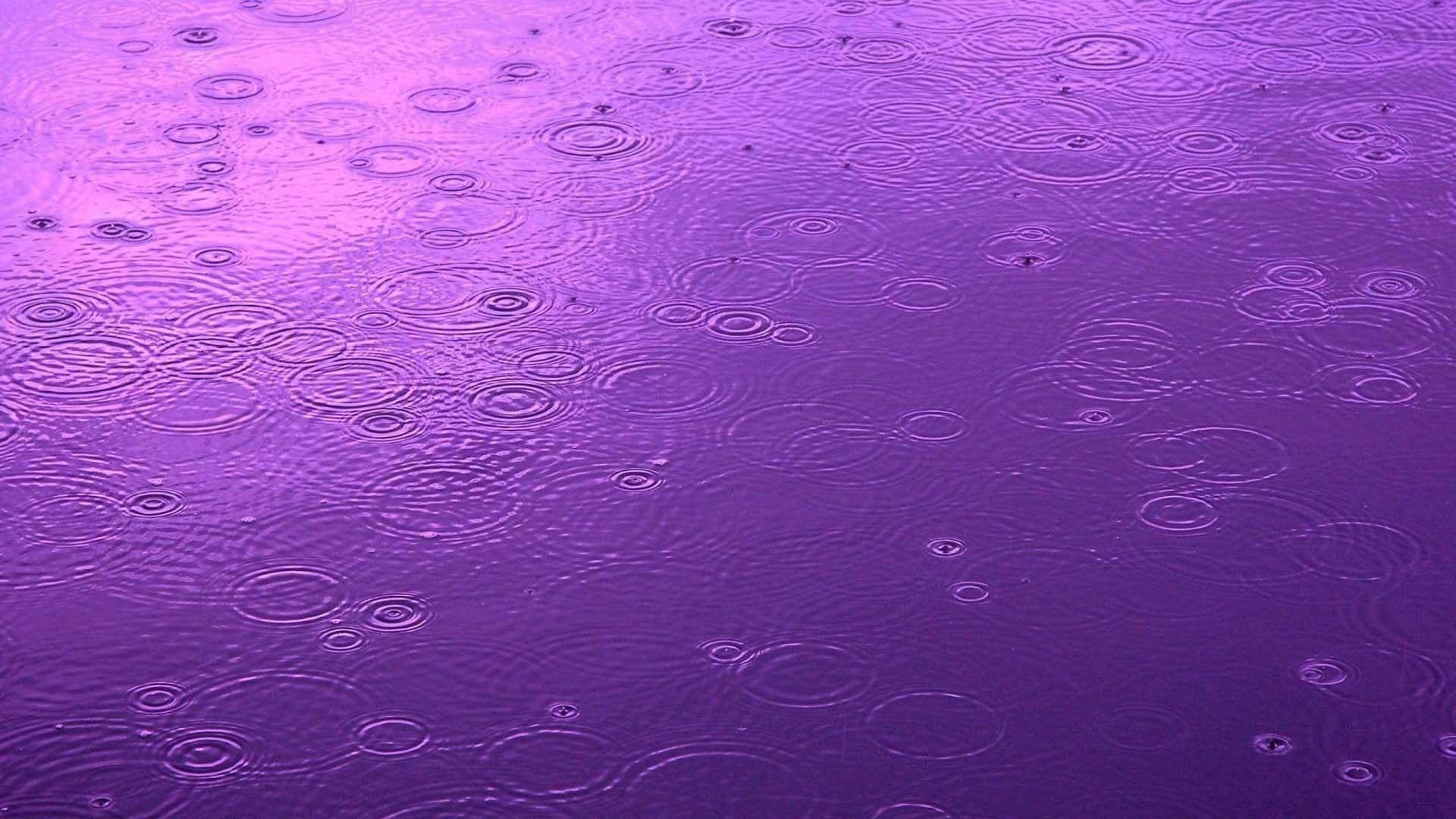 Purple Rain Wallpapers Wallpaper Cave