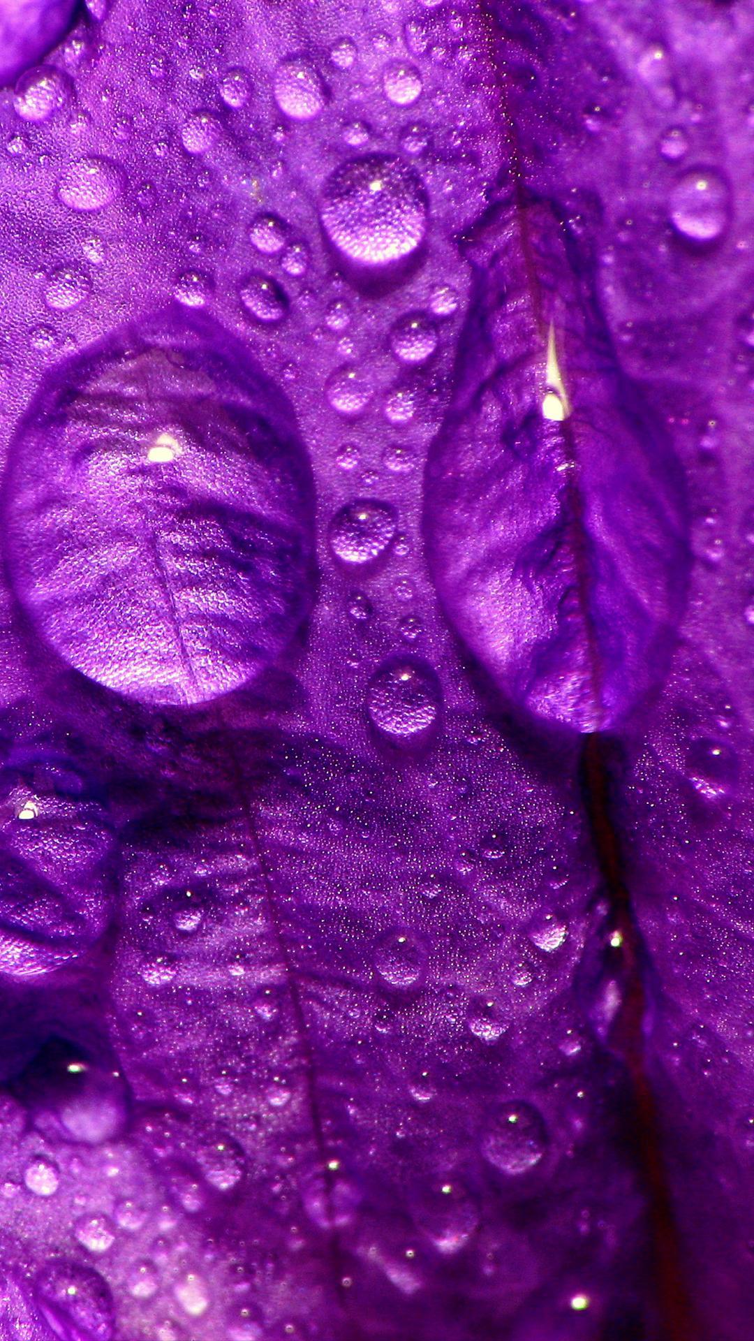 Purple Rain iPhone Background