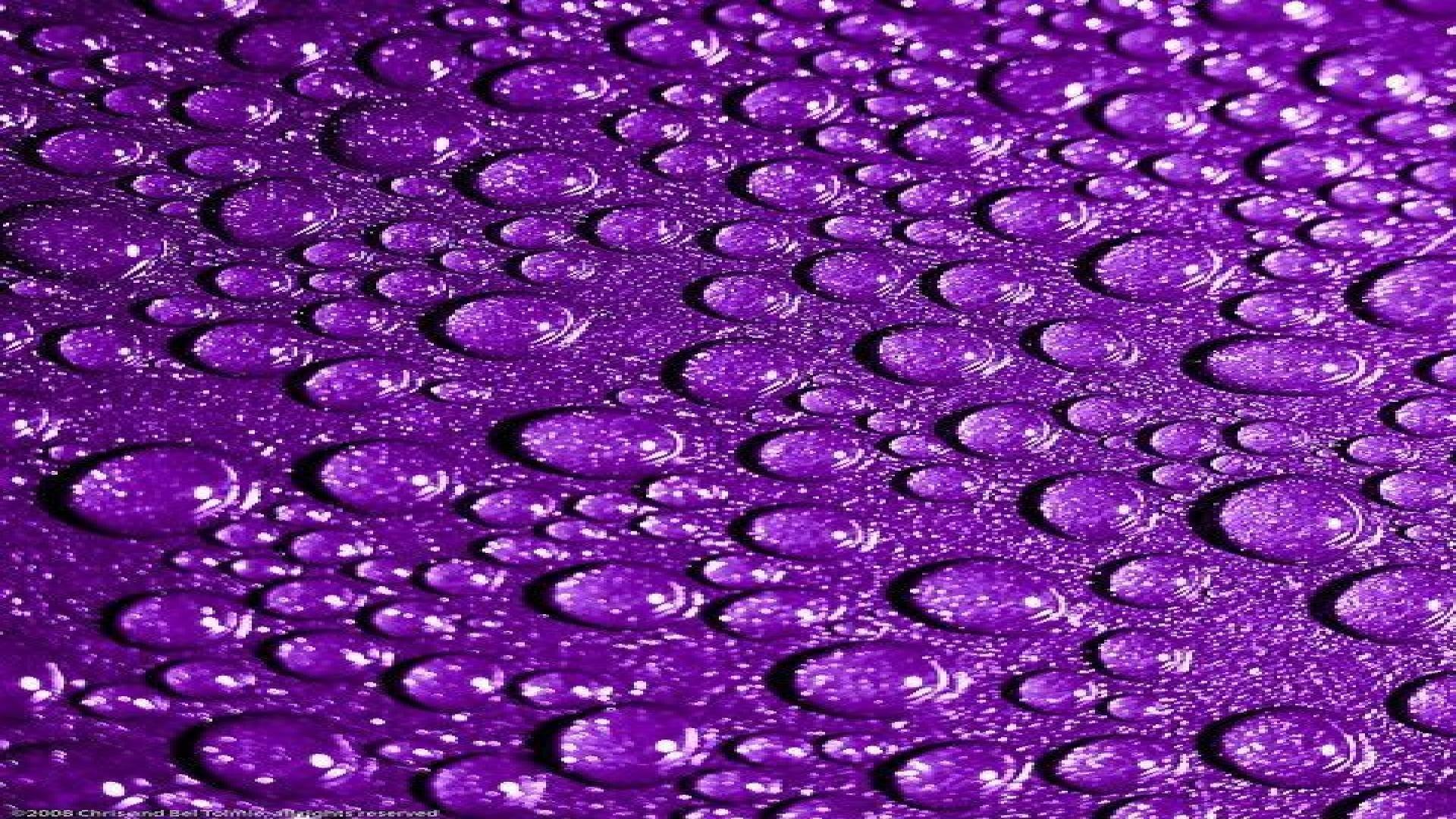 Flower purple rain roses HD phone wallpaper  Peakpx