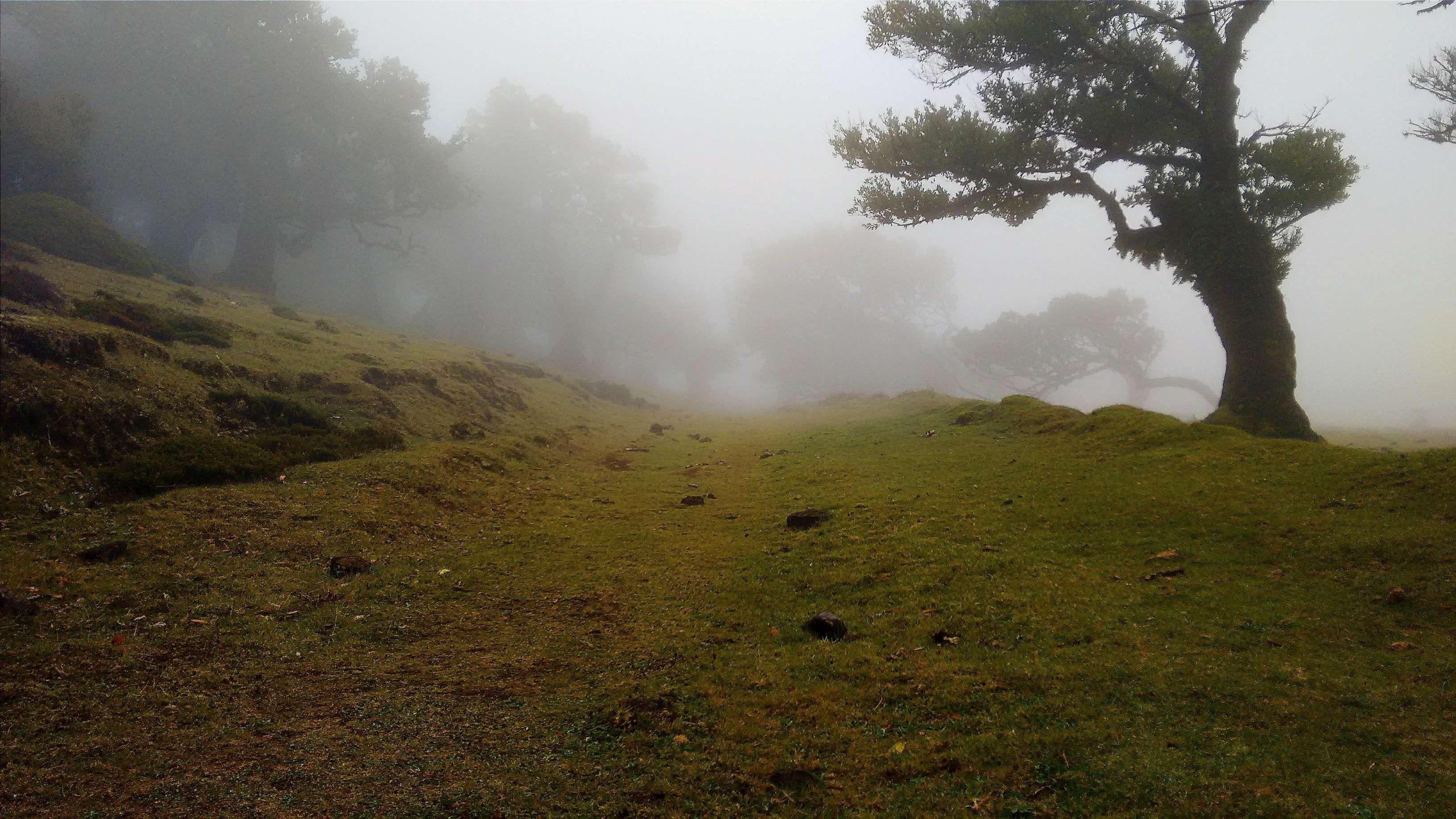 countryside #fog #grass #hill #idyllic #landscape #meadow #mist