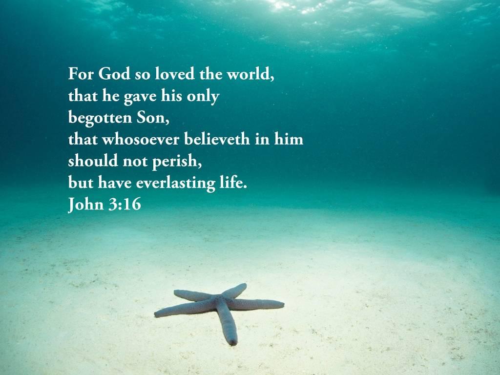 John 3:16 Life Wallpaper