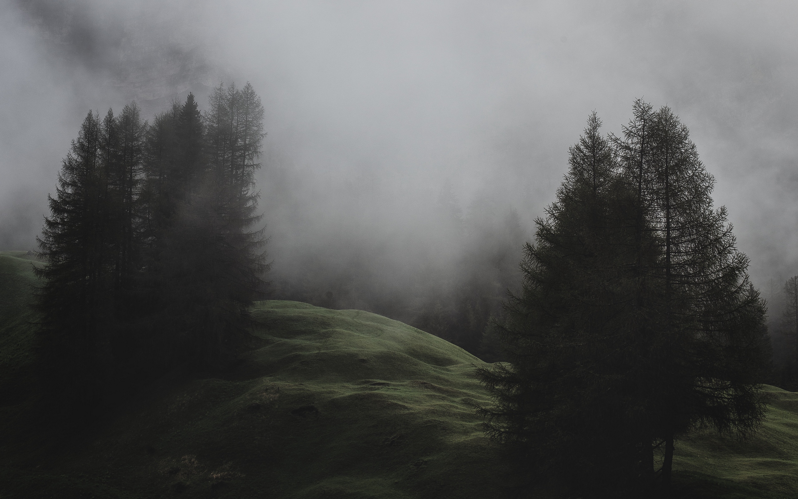 Download wallpaper 2560x1600 fog, trees, meadow, mountains, italy