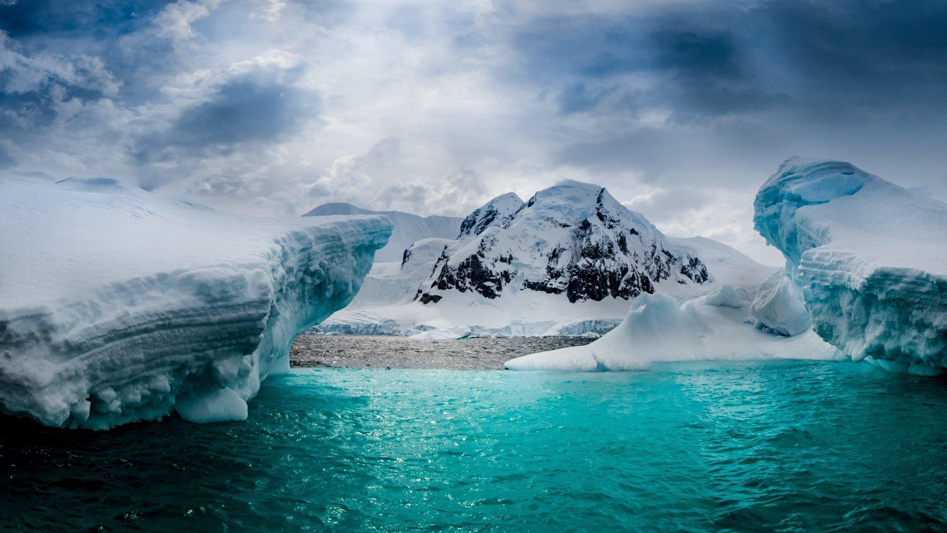 Free download Half Moon Island in Antarctica HD Wallpaper
