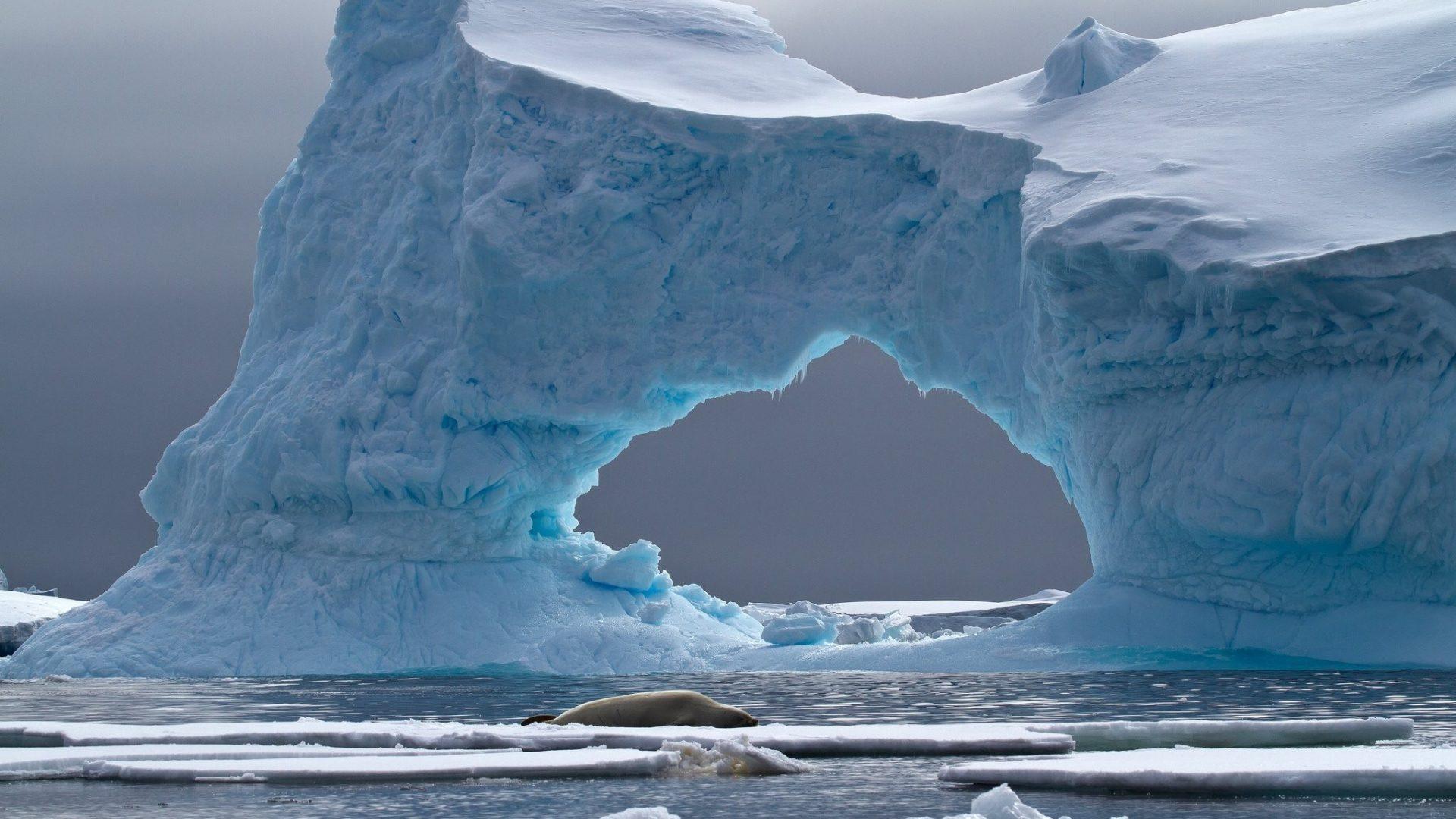 Antarctica Wallpaper & Background Download