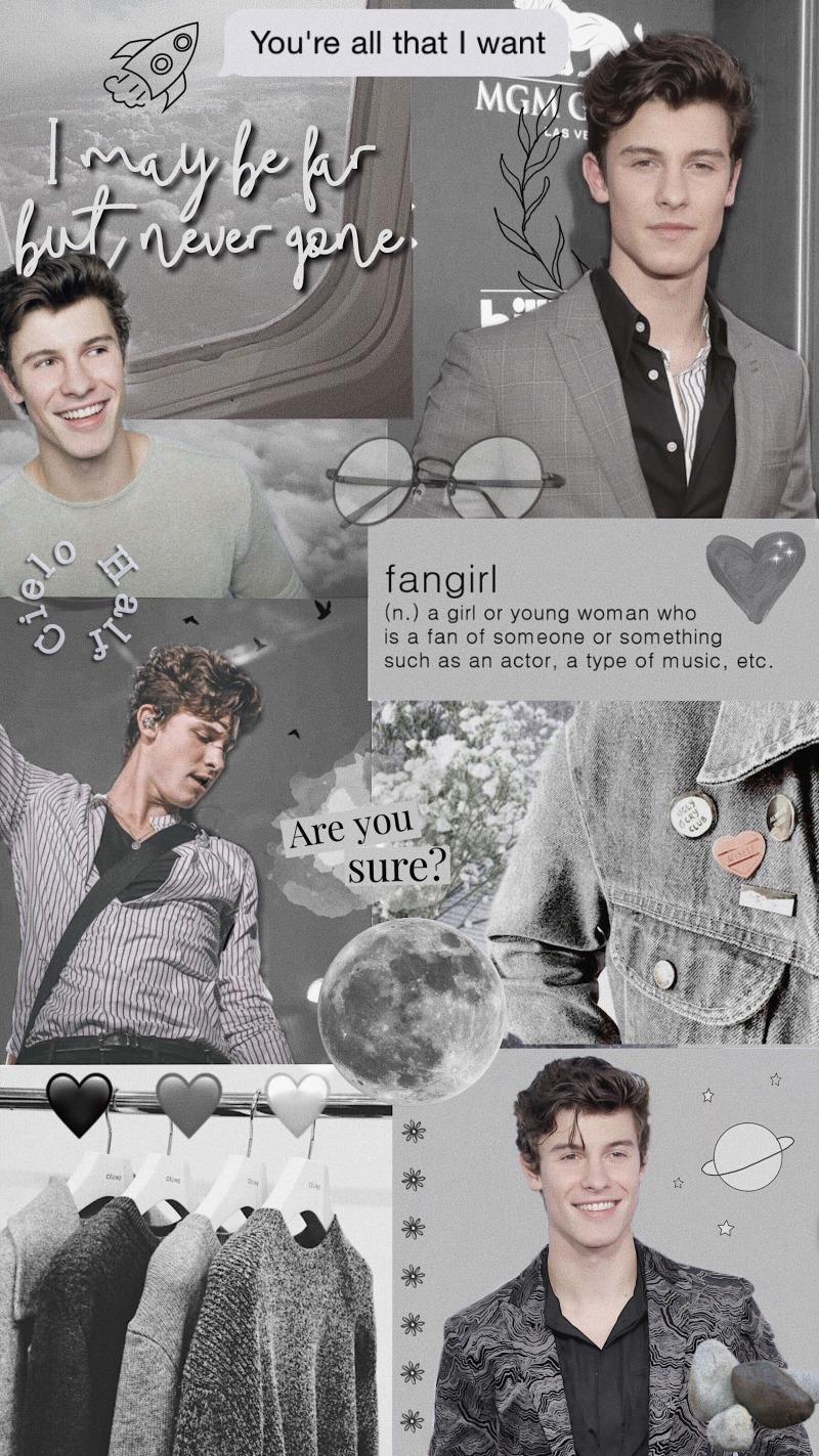 Shawn Mendes aesthetic wallpaper grey