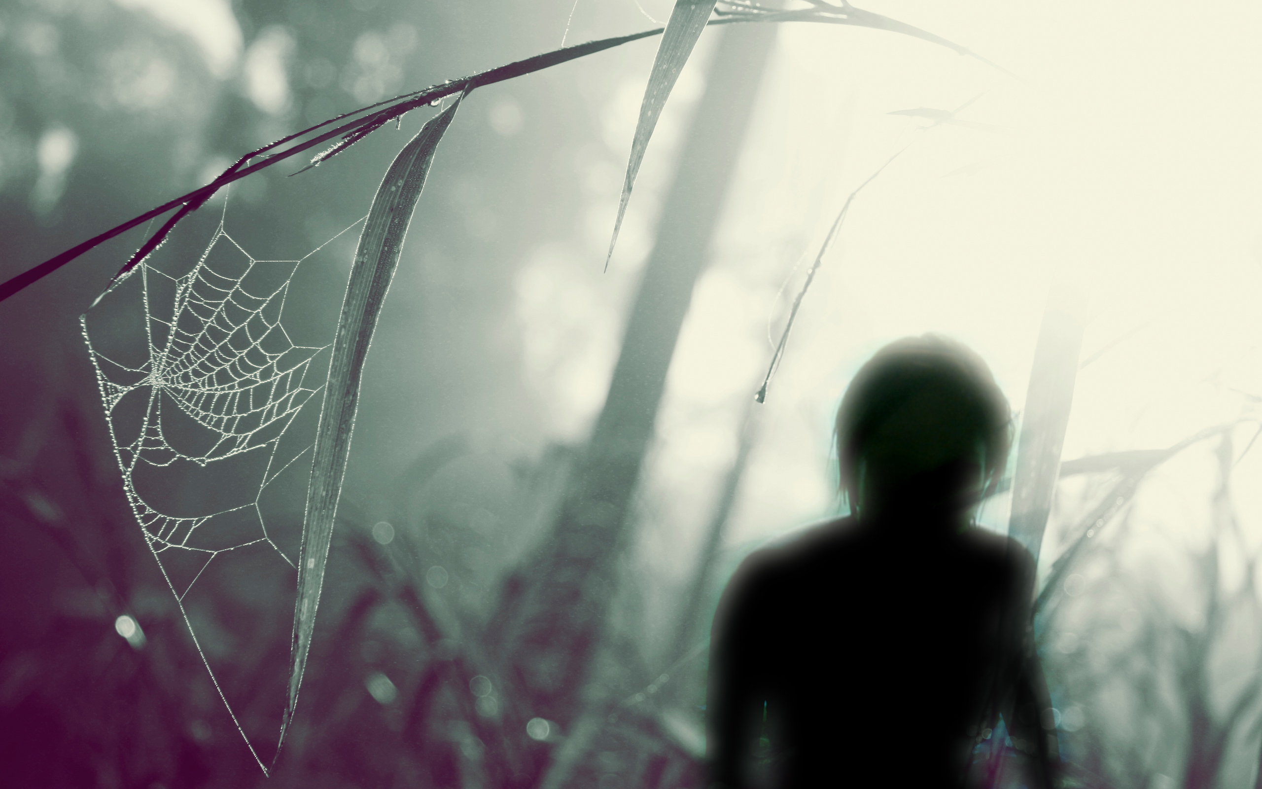 Spider Man Web Of Shadows Wallpaper