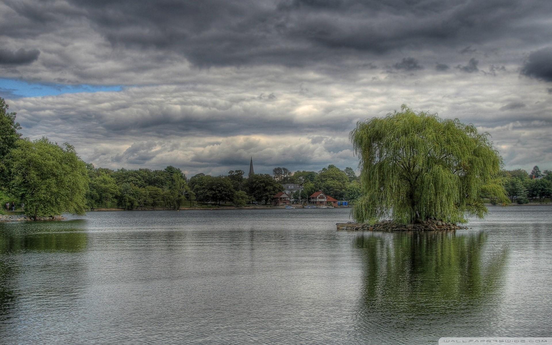 Willow Wallpapers - Wallpaper Cave