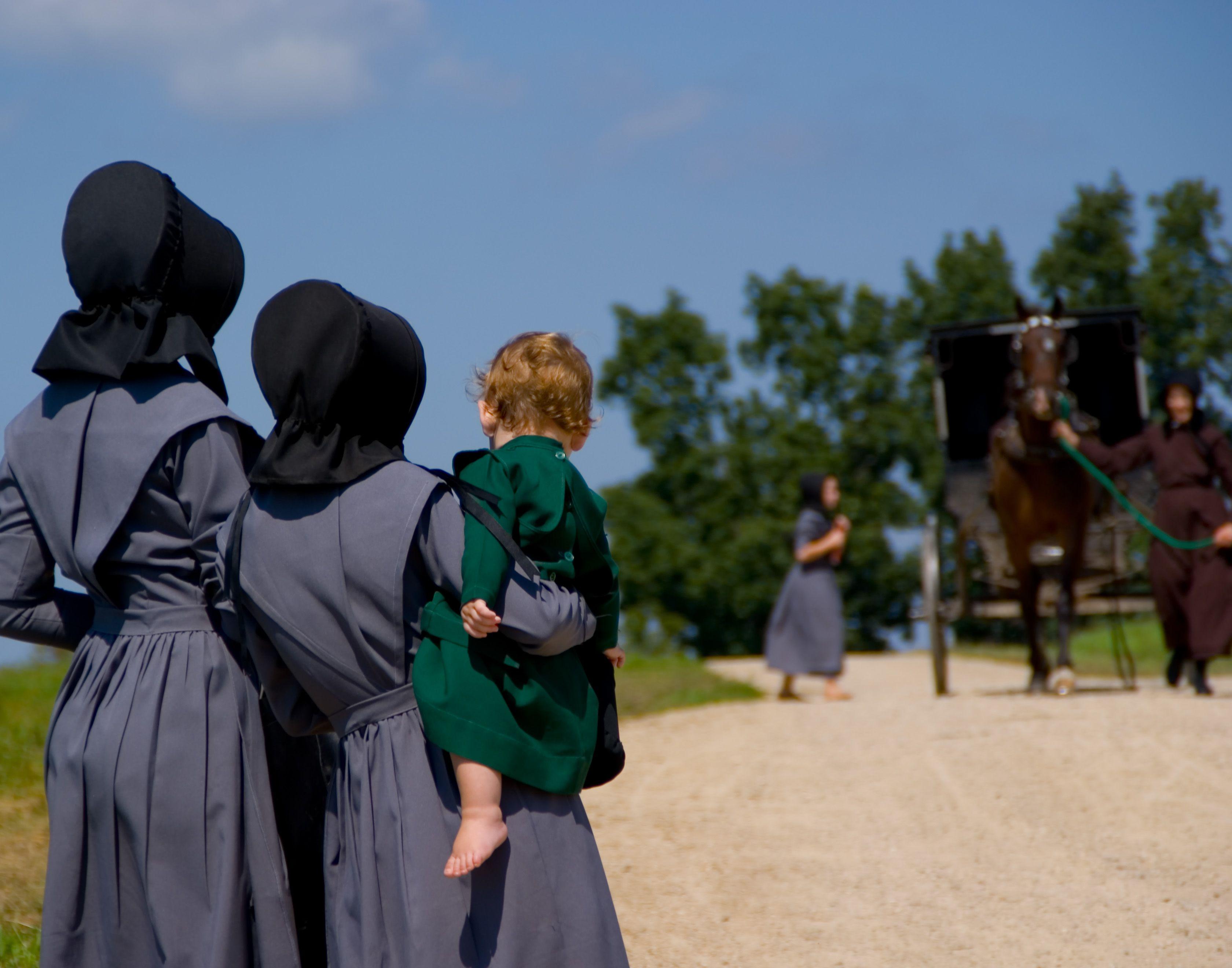 amish walking high resolution HD Wallpaper