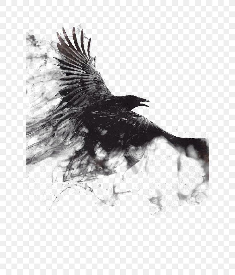 1080p 4K Resolution High Definition Television Mobile Phone