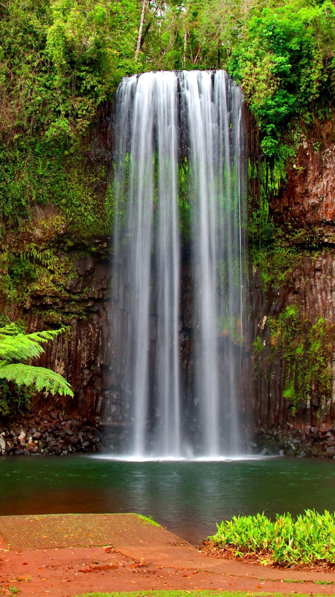 Download Waterfall Hd Nature Phone Wallpaper | Wallpapers.com